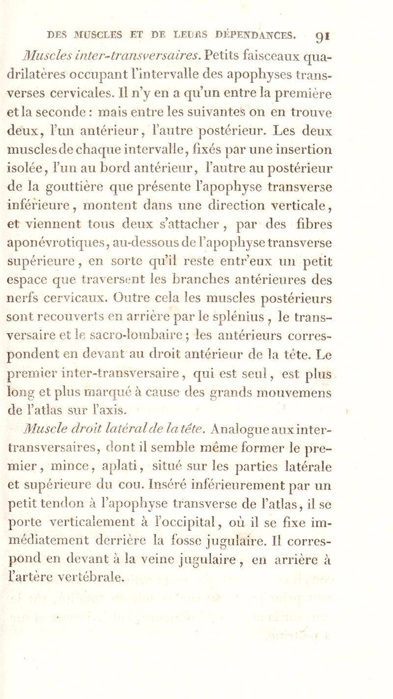 Muscles inter^transcersaires. Petits faisceaux qua- drilatères occupant Fintervalle des apophyses trans- verses cervicales. Il n’y en a qu’un entre la première et la seconde : mais entre les suivantes on en trouve deux y run antérieur, l’autre postérieur. Les deux muscles de chaque intervalle, fixés par une insertion isolée, Fun au bord antérieur, l’autre au postérieur de la gouttière que présente l’apophyse transverse inférieure, montent dans une direction verticale, et viennent tous deux s’attacher , par des fibres aponévrotiques, au-dessous de l’apophyse transverse supérieure , en sorte qu’il reste entr’eux un petit espace que traversent les branches antérieures des nerfs cervicaux. Outre cela les muscles postérieurs sont recouverts en arrière par le splénius , le trans- versaire et le sacro-lombaire ; les antérieurs corres- pondent en devant au droit antérieur de la tête. Le premier inter-transversaire , qui est seul, est plus long et plus marqué à cause des grands mouvemens de l’atlas sur l’axis. ^ Muscle droit latéral de la tête. Analogu e aux inter- transversaires, dont il semble meme former le pre- mier , mince, aplati, situé sur les parties latérale et supérieure du cou. Inséré inférieurement par un petit tendon à l’apophyse transverse de l’atlas, il se porte verticalement à l’occipital, où il se fixe im- médiatement derrière la fosse jugulaire. Il corres- pond en devant à la veine jugulaire , en arrière à l’artère vertébrale.