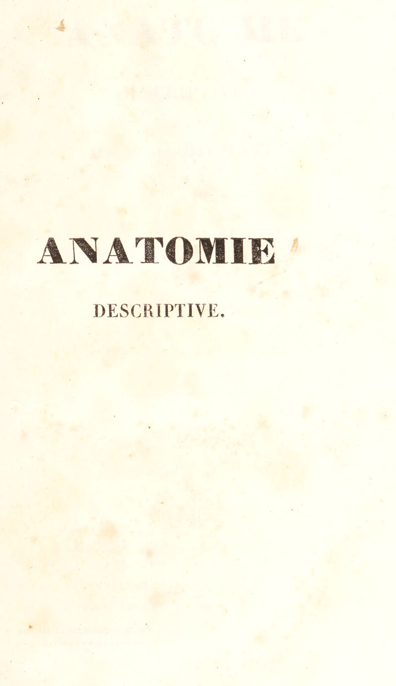 ANATOMIE DESCRIPTIVE.