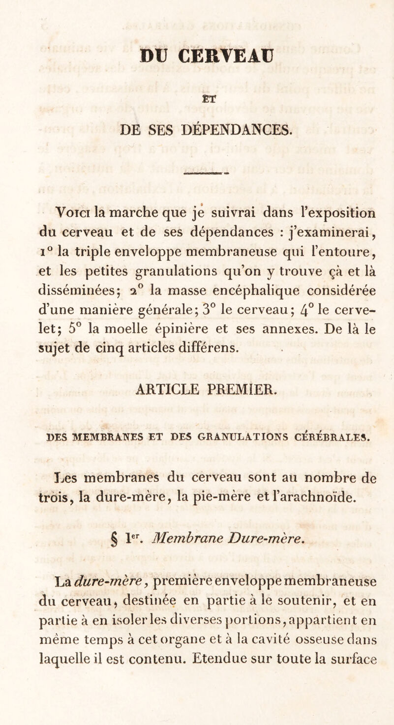 DU CERVEAU ET DE SES DÉPENDANCES. Voici la marche que je suivrai dans l’exposition du cerveau et de ses dépendances : j’examinerai, i° la triple enveloppe membraneuse qui l’entoure, et les petites granulations qu’on y trouve çà et là disséminées; 20 la masse encéphalique considérée d’une manière générale; 3° le cerveau; 4° le cerve- let; 5° la moelle épinière et ses annexes. De là le sujet de cinq articles différens. ARTICLE PREMIER. DES MEMBRANES ET DES GRANULATIONS CEREBRALES. Les membranes du cerveau sont au nombre de trois, la dure-mère, la pie-mère et l’arachnoïde. § 1er. Membrane Dure-mère. La dure-mère, première enveloppe membraneuse du cerveau > destinée en partie à le soutenir, et en partie à en isoler les diverses portions, appartient en meme temps à cet organe et à la cavité osseuse dans laquelle il est contenu. Etendue sur toute la surface