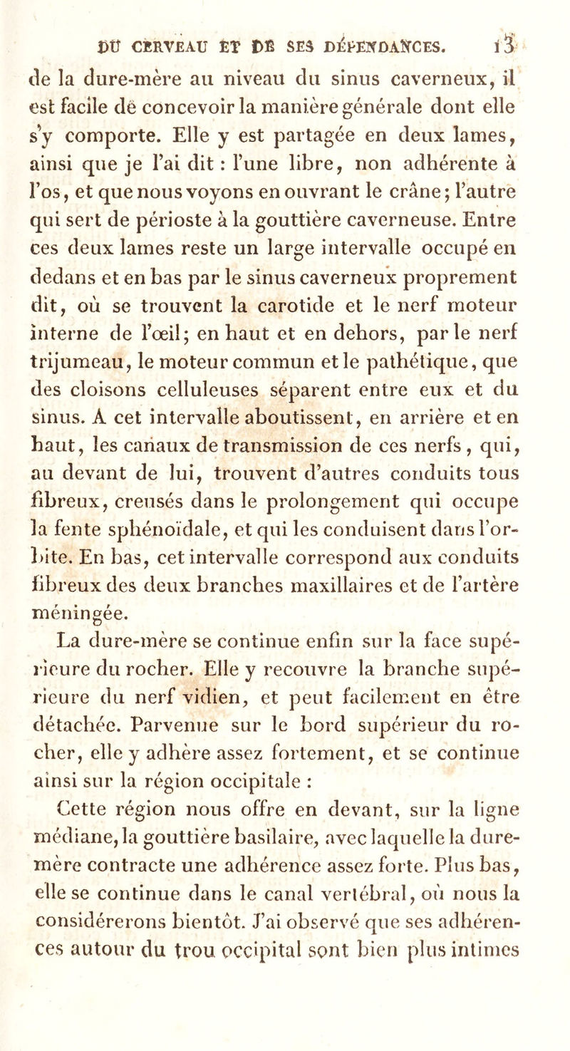 de la dure-mère au niveau du sinus caverneux, il est facile de concevoir la manière générale dont elle s y comporte. Elle y est partagée en deux lames, ainsi que je l’ai dit : l’une libre, non adhérente à Fos, et que nous voyons en ouvrant le crâne ; l’autre qui sert de périoste à la gouttière caverneuse. Entre ces deux lames reste un large intervalle occupé en dedans et en bas par le sinus caverneux proprement dit, où se trouvent la carotide et le nerf moteur interne de l’œil; en haut et en dehors, parle nerf trijumeau, le moteur commun et le pathétique, que des cloisons celluleuses séparent entre eux et du sinus. À cet intervalle aboutissent , en arrière et en haut, les canaux de transmission de ces nerfs , qui, au devant de lui, trouvent d’autres conduits tous fibreux, creusés dans le prolongement qui occupe la fente sphénoïdale, et qui les conduisent dans l’or- bite. En bas, cet intervalle correspond aux conduits fib reux des deux branches maxillaires et de l’artère méningée. La dure-mère se continue enfin sur la face supé- rieure du rocher. Elle y recouvre la branche supé- rieure du nerf vidien, et peut facilement en être détachée. Parvenue sur le bord supérieur du ro- cher, elle y adhère assez fortement, et se continue ainsi sur la. région occipitale : Cette région nous offre en devant, sur la ligne médiane, la gouttière basilaire, avec laquelle la dure- mère contracte une adhérence assez forte. Plus bas, elle se continue dans le canal vertébral, où nous la considérerons bientôt. J’ai observé que ses adhéren- ces autour du trou occipital sont bien plus intimes