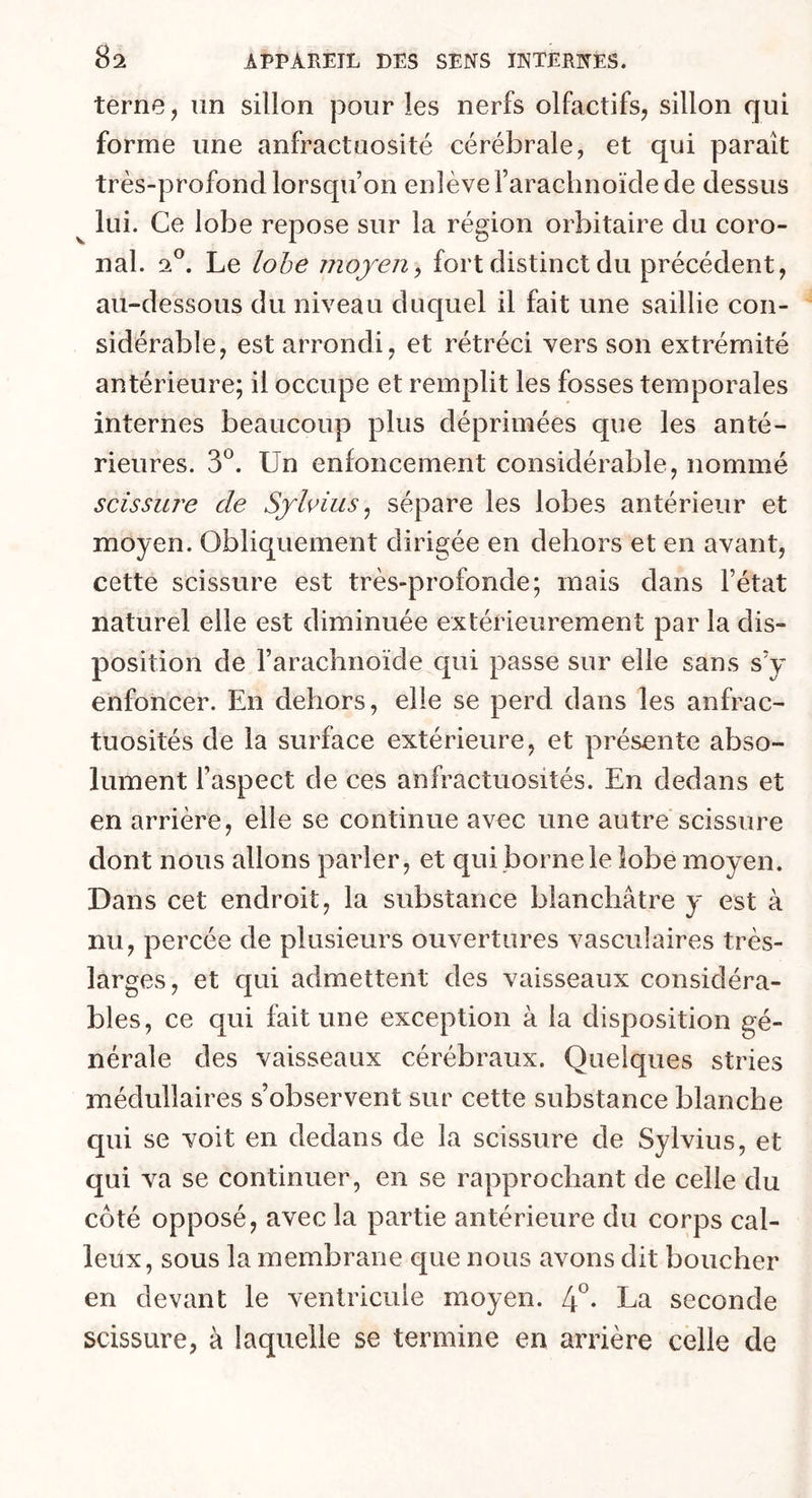 terne, un sillon pour les nerfs olfactifs, sillon qui forme une anfractuosité cérébrale, et qui paraît très-profond lorsqu’on enlève l’arachnoïde de dessus ^ lui. Ce lobe repose sur la région orbitaire du coro- nal. 20. Le lobe moyen, fort distinct du précédent, au-dessous du niveau duquel il fait une saillie con- sidérable, est arrondi, et rétréci vers son extrémité antérieure; il occupe et remplit les fosses temporales internes beaucoup plus déprimées que les anté- rieures. 3°. Un enfoncement considérable, nommé scissure de Sylvius, sépare les lobes antérieur et moyen. Obliquement dirigée en dehors et en avant, cette scissure est très-profonde; mais dans l’état naturel elle est diminuée extérieurement par la dis» position de l’arachnoïde qui passe sur elle sans s’y enfoncer. En dehors, elle se perd dans les anfrac- tuosités de la surface extérieure, et présente abso- lument l’aspect de ces anfractuosités. En dedans et en arrière, elle se continue avec une autre scissure dont nous allons parler, et qui borne le lobe moyen. Dans cet endroit, la substance blanchâtre y est à nu, percée de plusieurs ouvertures vasculaires très- larges, et qui admettent des vaisseaux considéra- bles, ce qui fait une exception à la disposition gé- nérale des vaisseaux cérébraux. Quelques stries médullaires s’observent sur cette substance blanche qui se voit en dedans de la scissure de Sylvius, et qui va se continuer, en se rapprochant de celle du côté opposé, avec la partie antérieure du corps cal- leux, sous la membrane que nous avons dit boucher en devant le ventricule moyen. 4°- La seconde scissure, à laquelle se termine en arrière celle de