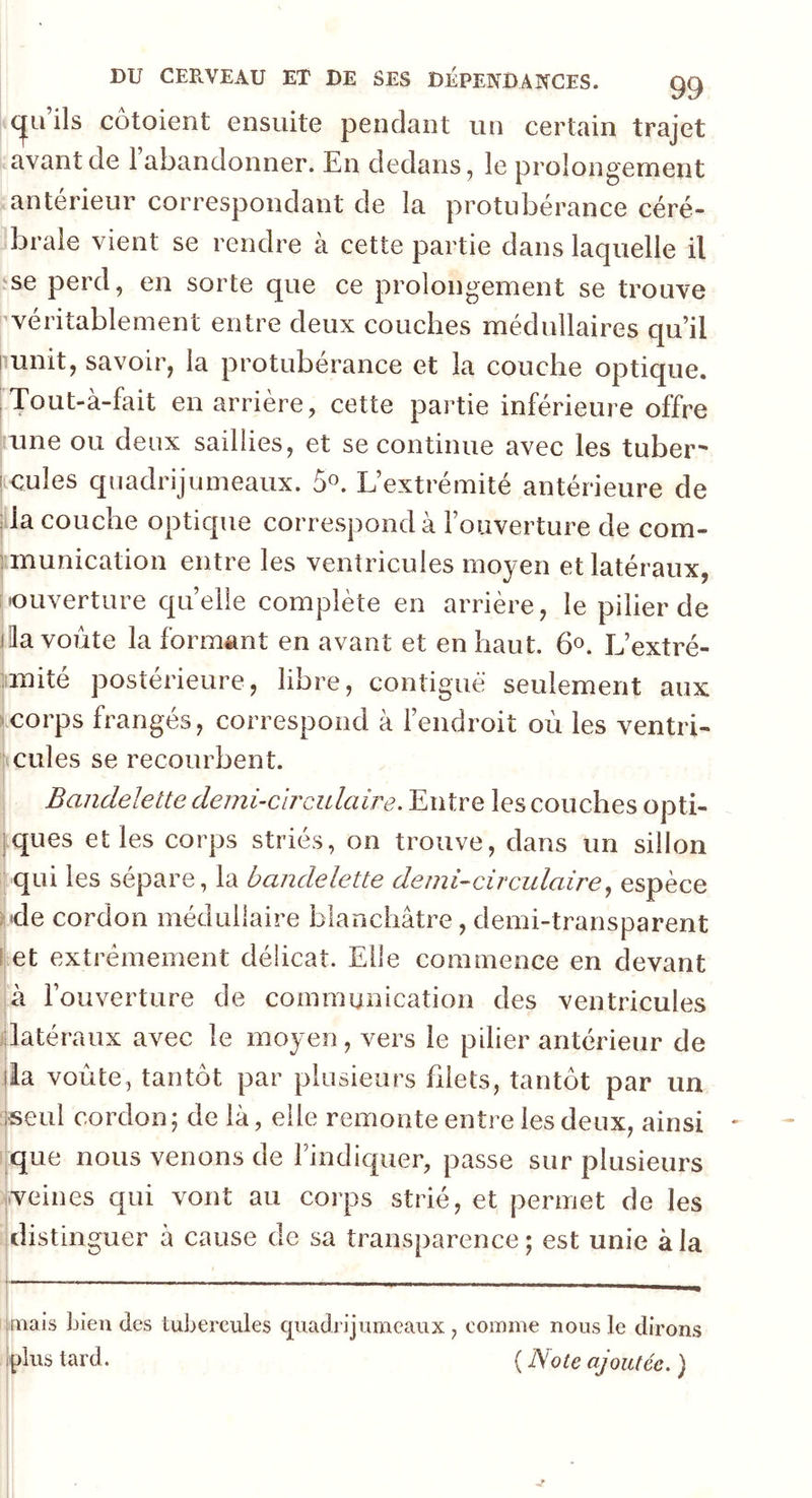 ils côtoient ensuite pendant un certain trajet avant de i abandonner. En dedans, le prolongement anterieur correspondant de la protubérance céré- brale vient se rendre à cette partie dans laquelle il se perd, en sorte que ce prolongement se trouve véritablement entre deux couches médullaires qu’il unit, savoir, la protubérance et la couche optique. I * ^ ^ en arrière, cette partie inférieure offre une ou deux saillies, et se continue avec les tuber' ; cules quadrijumeaux. 5°. L’extrémité antérieure de la couche optique correspond à l’ouverture de com- munication entre les ventricules moyen et latéraux, ouverture quelle complète en arrière, le pilier de i la voûte la formant en avant et en haut. 6°. L’extré- mité postérieure, libre, contiguë seulement aux corps frangés, correspond à l’endroit où les ventri- cules se recourbent. Bandelette demi-circulaire. Entre les couches opti- ques et les corps striés, on trouve, dans un sillon qui les séparé, la bandelette demi-circulaire, espèce de cordon médullaire blanchâtre, demi-transparent et extrêmement délicat. Elle commence en devant à l’ouverture de communication des ventricules latéraux avec le moyen, vers le pilier antérieur de lia voûte, tantôt par plusieurs filets, tantôt par un seul cordon; de là, elle remonte entre les deux, ainsi que nous venons de l’indiquer, passe sur plusieurs veines qui vont au corps strié, et permet de les distinguer à cause de sa transparence; est unie à la [mais Lien des tubercules quadrijumeaux , comme nous le dirons .plus tard. ( Note ajoutée. )