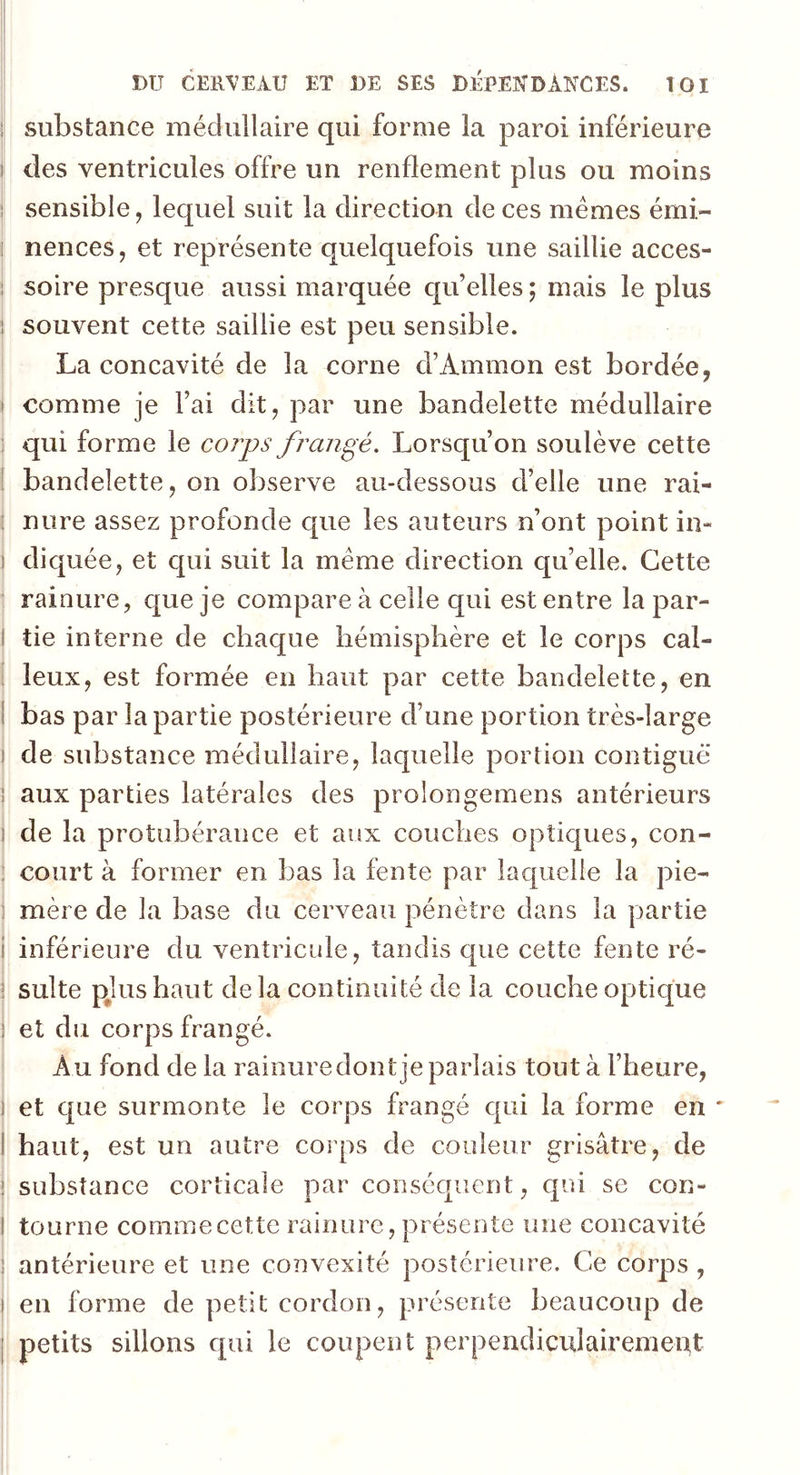 : substance médullaire qui forme la paroi inférieure des ventricules offre un renflement plus ou moins sensible, lequel suit la direction de ces memes émi- nences, et représente quelquefois une saillie acces- soire presque aussi marquée qu’elles ; mais le plus i souvent cette saillie est peu sensible. La concavité de la corne d’Ammon est bordée, comme je l’ai dit, par une bandelette médullaire : qui forme le corps frangé. Lorsqu’on soulève cette bandelette, on observe au-dessous d’elle une rai- I mire assez profonde que les auteurs n’ont point in« j diquée, et qui suit la meme direction qu’elle. Cette rainure, que je compare à celle qui est entre la par- tie interne de chaque hémisphère et le corps cal- leux, est formée en haut par cette bandelette, en bas par la partie postérieure d’une portion très-large | de substance médullaire, laquelle portion contiguë j aux parties latérales des prolongemens antérieurs ! de la protubérance et aux couches optiques, con- court à former en bas la fente par laquelle la pie- mère de la base du cerveau pénètre dans la partie inférieure du ventricule, tandis que cette fente ré- 1 suite plus haut delà continuité de la couche optique : et du corps frangé. Au fond de la rainuredont je pariais tout à l’heure, et que surmonte le corps frangé qui la forme en I haut, est un autre corps de couleur grisâtre, de substance corticale par conséquent, qui se con- tourne commecette rainure, présente une concavité antérieure et une convexité postérieure. Ce corps , i en forme de petit cordon, présente beaucoup de j petits sillons qui le coupent perpendiculairement