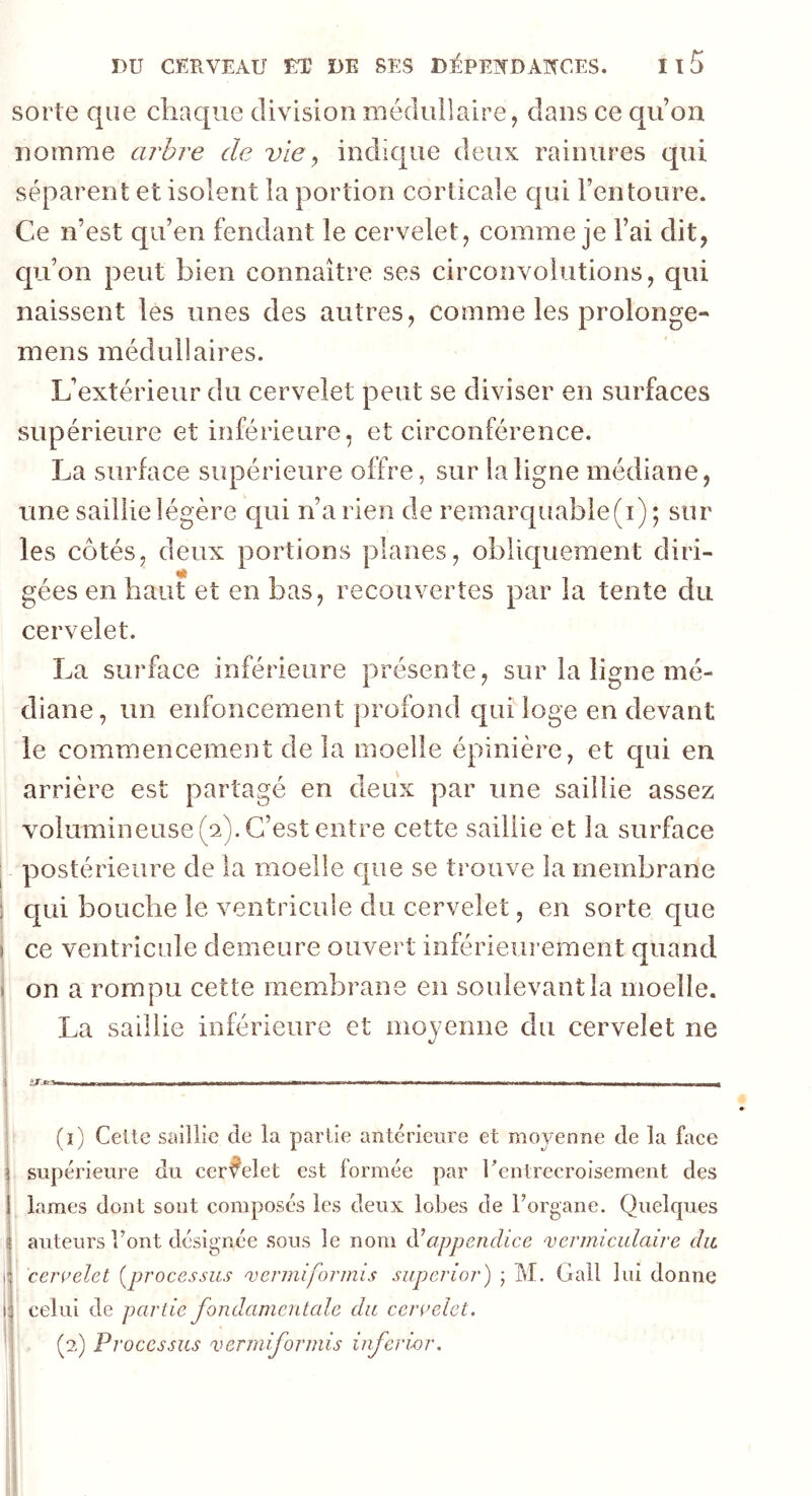 sorte que chaque division médullaire, dans ce quon nomme arbre de vie, indique deux rainures qui séparent et isolent la portion corticale qui l’entoure. Ce n’est qu’en fendant le cervelet, comme je l’ai dit, qu’on peut bien connaître ses circonvolutions, qui naissent les unes des autres, comme les prolonge- mens médullaires. L’extérieur du cervelet peut se diviser en surfaces supérieure et inférieure, et circonférence. La surface supérieure offre, sur la ligne médiane, une saillie légère qui n’a rien de remarquable (i) ; sur les côtés, deux portions planes, obliquement diri- «A gées en haut et en bas, recouvertes par la tente du cervelet. La surface inférieure présente, sur la ligne mé- diane, un enfoncement profond qui loge en devant le commencement de la moelle épinière, et qui en arrière est partagé en deux par une saillie assez volumineuse (2). C’est entre cette saillie et la surface postérieure de la moelle que se trouve la membrane : qui bouche le ventricule du cervelet, en sorte que ) ce ventricule demeure ouvert inférieurement quand on a rompu cette membrane en soulevant la moelle. La saillie inférieure et moyenne du cervelet ne 3 iJ • ■ — —■— ■ - . ~~.Mn.l-, ■—■— - - - - n (1) Celte saillie de la partie antérieure et moyenne de la face | supérieure du cervelet est formée par l'entrecroisement des i lames dont sont composés les deux lobes de l’organe. Quelques auteurs Font désignée sous le nom d’appendice vcrmiculaire du 1 cervelet (processus vermiformis superior) ; M. Gall lui donne 1 celui de partie fondamentale du cervelet.