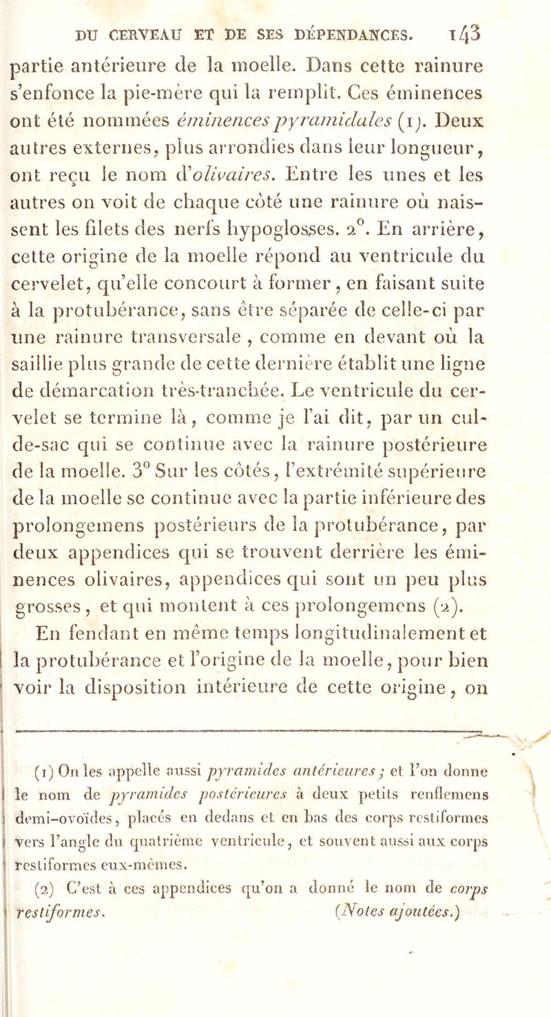 partie antérieure de la moelle. Dans cette rainure s’enfonce la pie-mère qui la remplit. Ces éminences ont été nommées éminences pyramidales (ij. Deux autres externes, plus arrondies dans leur longueur, ont reçu le nom cl 'olivâtres. Entre les unes et les autres on voit de chaque coté une rainure où nais- sent les filets des nerfs hypoglosses. 20. En arrière, cette origine de la moelle répond au ventricule du cervelet, quelle concourt à former , en faisant suite à la protubérance, sans être séparée de celle-ci par une rainure transversale , comme en devant où la saillie plus grande de cette dernière établit une ligne de démarcation très-tranchée. Le ventricule du cer- velet se termine là, comme je l’ai dit, par un cul- de-sac qui se continue avec la rainure postérieure de la moelle. 3° Sur les côtés, l’extrémité supérieure de la moelle se continue avec la partie inférieure des prolongemens postérieurs de la protubérance, par deux appendices qui se trouvent derrière les émi- nences olivaires, appendices qui sont un peu plus grosses, et qui montent à ces prolongemens (2). En fendant en même temps longitudinalement et la protubérance et l’origine de la moelle, pour bien ’ voir la disposition intérieure de cette origine, on (1) On les appelle aussi pyramides antérieures ; et Ton donne 1 le nom de pyramides postérieures à deux petits renflemens demi-ovoïdes, placés en dedans et en bas des corps restiformes 1 vers l’angle du quatrième ventricule, et souvent aussi aux corps : restiformes eux-mêmes. (2) C’est à ces appendices qu’on a donné le nom de corps 1 restiformes. (Notes ajoutées.)