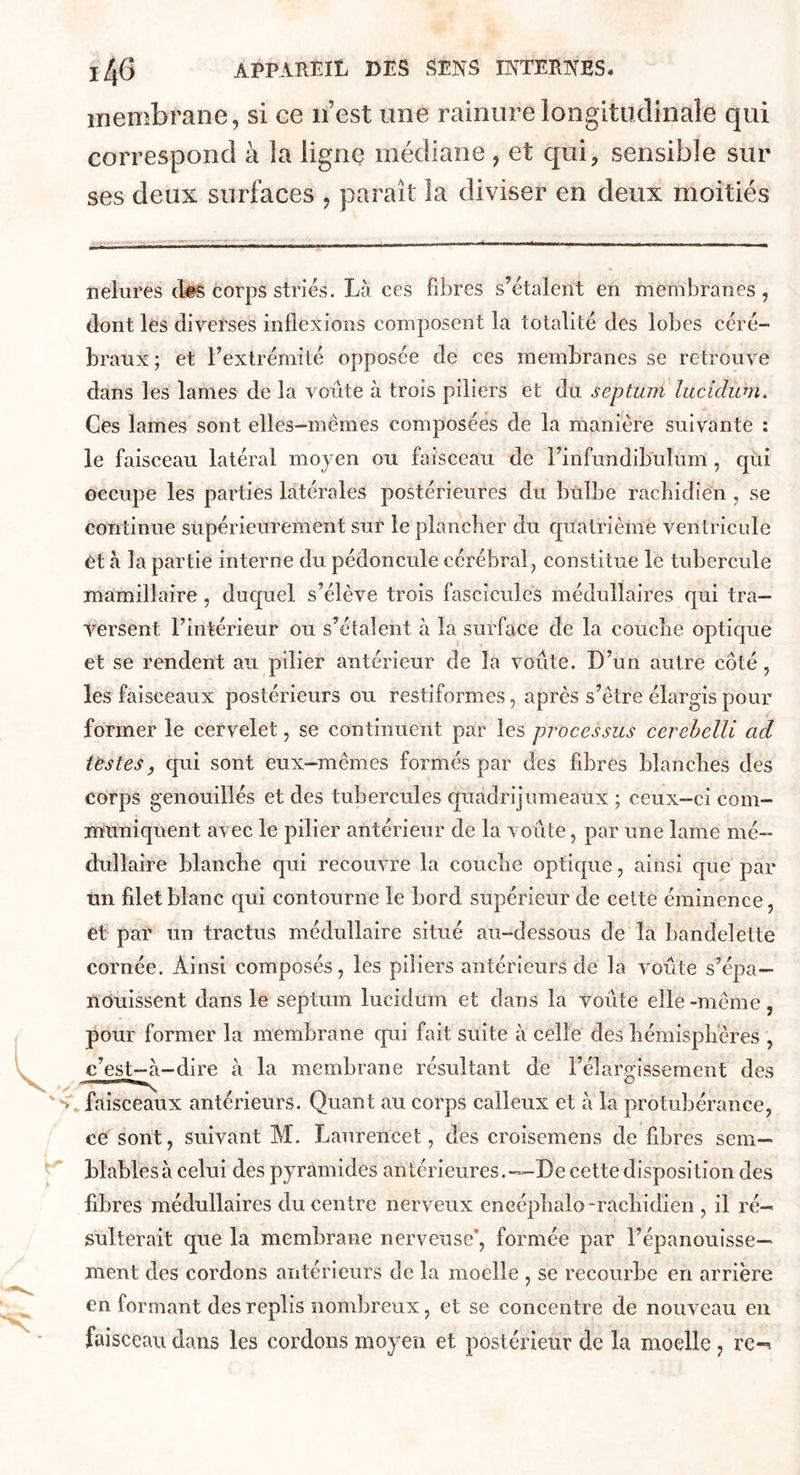 membrane, si ce n’est une rainure longitudinale qui correspond à la ligne médiane , et qui, sensible sur ses deux surfaces , paraît la diviser en deux moitiés nelures dès corps striés. Là ces fibres s’étalent en membranes, dont les diverses inflexions composent la totalité des lobes céré- braux ; et l’extrémité opposée de ces membranes se retrouve dans les lames de la voûte à trois piliers et du septum lucidum. Ces lames sont elles-mêmes composées de la manière suivante : le faisceau latéral moyen ou faisceau de l’infundibulum , qui occupe les parties latérales postérieures du bulbe rachidien , se continue supérieurement sur le plancher du quatrième ventricule et à la partie interne du pédoncule cérébral, constitue le tubercule mamillaire , duquel s’élève trois fascicules médullaires qui tra- versent l’intérieur ou s’étalent à la surface de la couche optique et se rendent au pilier antérieur de la voûte. D’un autre côté, les faisceaux postérieurs ou restiformes, après s’être élargis pour former le cervelet, se continuent par les processus cerebelli ad testes, qui sont eux-mêmes formés par des fibres blanches des corps genouillés et des tubercules quadrijumeaux ; ceux-ci com- muniquent avec le pilier antérieur de la voûte, par une lame mé- dullaire blanche qui recouvre la couche optique, ainsi que par un filet blanc qui contourne le bord supérieur de cette éminence, et par un tractus médullaire situé au-dessous de la bandelette cornée. Ainsi composés, les piliers antérieurs de la voûte s’épa- nouissent dans le septum lucidum et dans la voûte elle -même, pour former la membrane cpii fait suite à celle des hémisphères , c’est-à-dire à la membrane résultant de l’élargissement des faisceaux antérieurs. Quant au corps calleux et à la protubérance, ce sont, suivant M. Laurencet, des croisemens de fibres sem- blables à celui des pyramides antérieures.—De cette disposition des fibres médullaires du centre nerveux encéphalo-rachidien , il ré- sulterait que la membrane nerveuse', formée par l’épanouisse- ment des cordons antérieurs de la moelle , se recourbe en arrière en formant des replis nombreux, et se concentre de nouveau en faisceau dans les cordons moyen et postérieur de la moelle , re-n