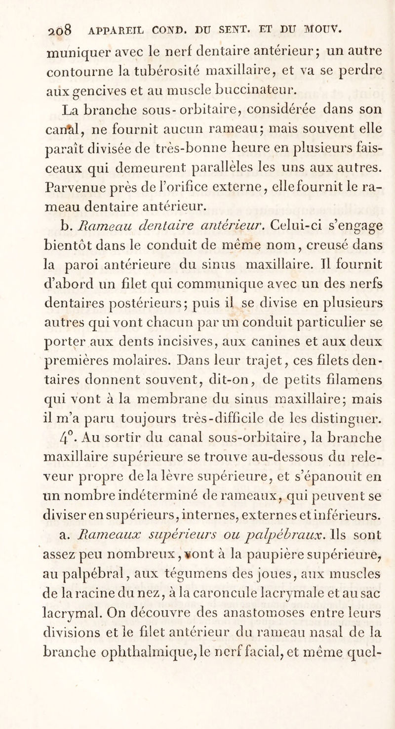 muniquer avec le nerf dentaire antérieur; un autre contourne la tubérosité maxillaire, et va se perdre aux gencives et au muscle buccinateur. La branche sous-orbitaire, considérée dans son canîd, ne fournit aucun rameau; mais souvent elle paraît divisée de très-bonne heure en plusieurs fais- ceaux qui demeurent parallèles les uns aux autres. Parvenue près de Forifice externe, elle fournit le ra- meau dentaire antérieur. b. Rameau dentaire antérieur. Celui-ci s’engage bientôt dans le conduit de meme nom, creusé dans la paroi antérieure du sinus maxillaire. Tl fournit d’abord un filet qui communique avec un des nerfs dentaires postérieurs; puis il se divise en plusieurs autres qui vont chacun parmi conduit particulier se porter aux dents incisives, aux canines et aux deux premières molaires. Dans leur trajet, ces filets den- taires donnent souvent, dit-on, de petits filamens qui vont à la membrane du sinus maxillaire; mais il m’a paru toujours très-difficile de les distinguer. 4°. Au sortir du canal sous-orbitaire, la branche maxillaire supérieure se trouve au-dessous du rele- veur propre de la lèvre supérieure, et s’épanouit en un nombre indéterminé de rameaux, qui peuvent se diviser en supérieurs, internes, externes et inférieurs. a. Rameaux supérieurs ou palpébraux. Ils sont assez peu nombreux, vont à la paupière supérieure, au palpébral, aux tégumens des joues, aux muscles de la racine du nez, à la caroncule lacrymale et au sac lacrymal. On découvre des anastomoses entre leurs divisions et le filet antérieur du rameau nasal de la branche ophthalmique,le nerf facial, et même quel-