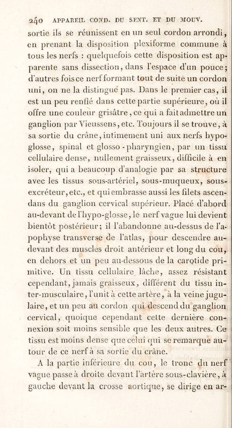 sortie ils se réunissent en un seul cordon arrondi, en prenant la disposition plcxiforme commune à tous les nerfs : cpielcpiefois cette disposition est ap- parente sans dissection, dans l’espace d’un pouce; d’autres fois ce nerf formant tout de suite un cordon uni, on ne la distingue pas. Dans le premier cas, il est un peu renflé dans cette partie supérieure, où il offre une couleur grisâtre , ce qui a fait admettre un ganglion par Vieussens, etc. Toujours il se trouve , à sa sortie du crâne, intimement uni aux nerfs hypo- glosse, spinal et glosso - pharyngien, par un tissu cellulaire dense, nullement graisseux, difficile à en isoler, qui a beaucoup d’analogie par sa structure avec les tissus sous-artériel, sous-muqueux, sous- excréteur, etc., et qui embrasse aussi les filets ascen- dans du ganglion cervical supérieur. Placé d’abord au-devant de fhypo-glosse, le nerf vague lui devient bientôt postérieur; il l’abandonne au-dessus de l’a- pophyse transverse de l’atlas, pour descendre au- devant des muscles droit antérieur et long du cou, en dehors et un peu au-dessous de la carotide pri- mitive. Un tissu cellulaire lâche, assez résistant cependant, jamais graisseux, différent du tissu in- ter-musculaire, l’unit à cette artère, à la veine jugu- laire, et un peu au cordon qui descend du ganglion cervical, quoique cependant cette dernière con- nexion soit moins sensible que les deux autres. Ce tissu est moins dense que celui qui se remarque au- tour de ce nerf à sa sorbe du crâne. A la partie inférieure du cou, le tronc du nerf vague passe à droite devant l’artère sous-clavière, à gauche devant la crosse aortique, se dirige en ar-