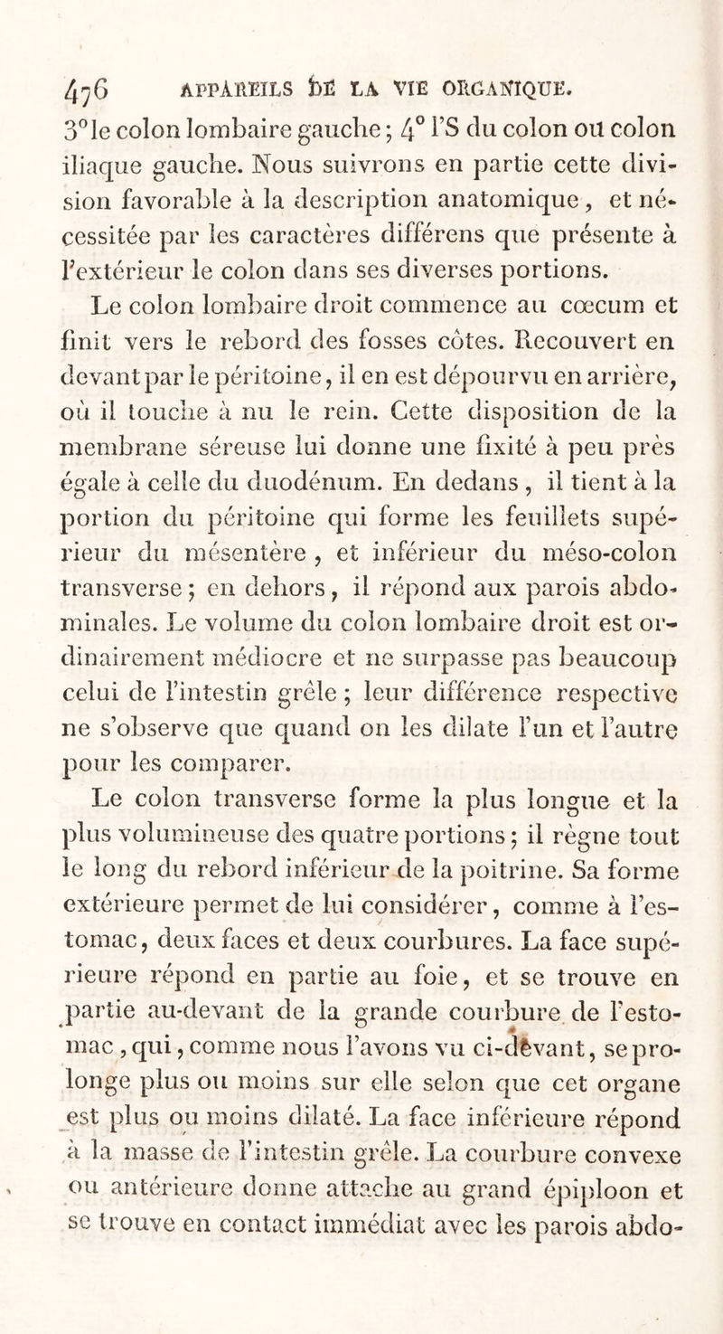 3°le colon lombaire gauche ; 4° l’S clu colon ou colon iliaque gauche. Nous suivrons en partie cette divi- sion favorable à la description anatomique , et né- cessitée par les caractères différens que présente à l'extérieur le colon dans ses diverses portions. Le colon lombaire droit commence au cæcum et finit vers le rebord des fosses côtes. Recouvert en devant par le péritoine, il en est dépourvu en arrière, où il touche à nu le rein. Cette disposition de la membrane séreuse lui donne une fixité à peu près égale à celle du duodénum. En dedans , il tient à la portion du péritoine qui forme les feuillets supé- rieur du mésentère , et inférieur du méso-colon transverse ; en dehors, il répond aux parois abdo- minales. Le volume du colon lombaire droit est or- dinairement médiocre et ne surpasse pas beaucoup celui de l’intestin grêle ; leur différence respective ne s’observe que quand on les dilate l’un et l’autre pour les comparer. Le colon transverse forme la plus longue et la plus volumineuse des quatre portions ; il règne tout le long du rebord inférieur de la poitrine. Sa forme extérieure permet de lui considérer, comme à l’es- tomac, deux faces et deux courbures. La face supé- rieure répond en partie au foie, et se trouve en partie au-devant de la grande courbure de l’esto- mac , qui, comme nous l’avons vu ci-devant, se pro- longe plus ou moins sur elle selon que cet organe est plus ou moins dilaté. La face inférieure répond à la masse de l’intestin grêle. La courbure convexe ou antérieure donne attache au grand épiploon et se trouve en contact immédiat avec les parois abdo-