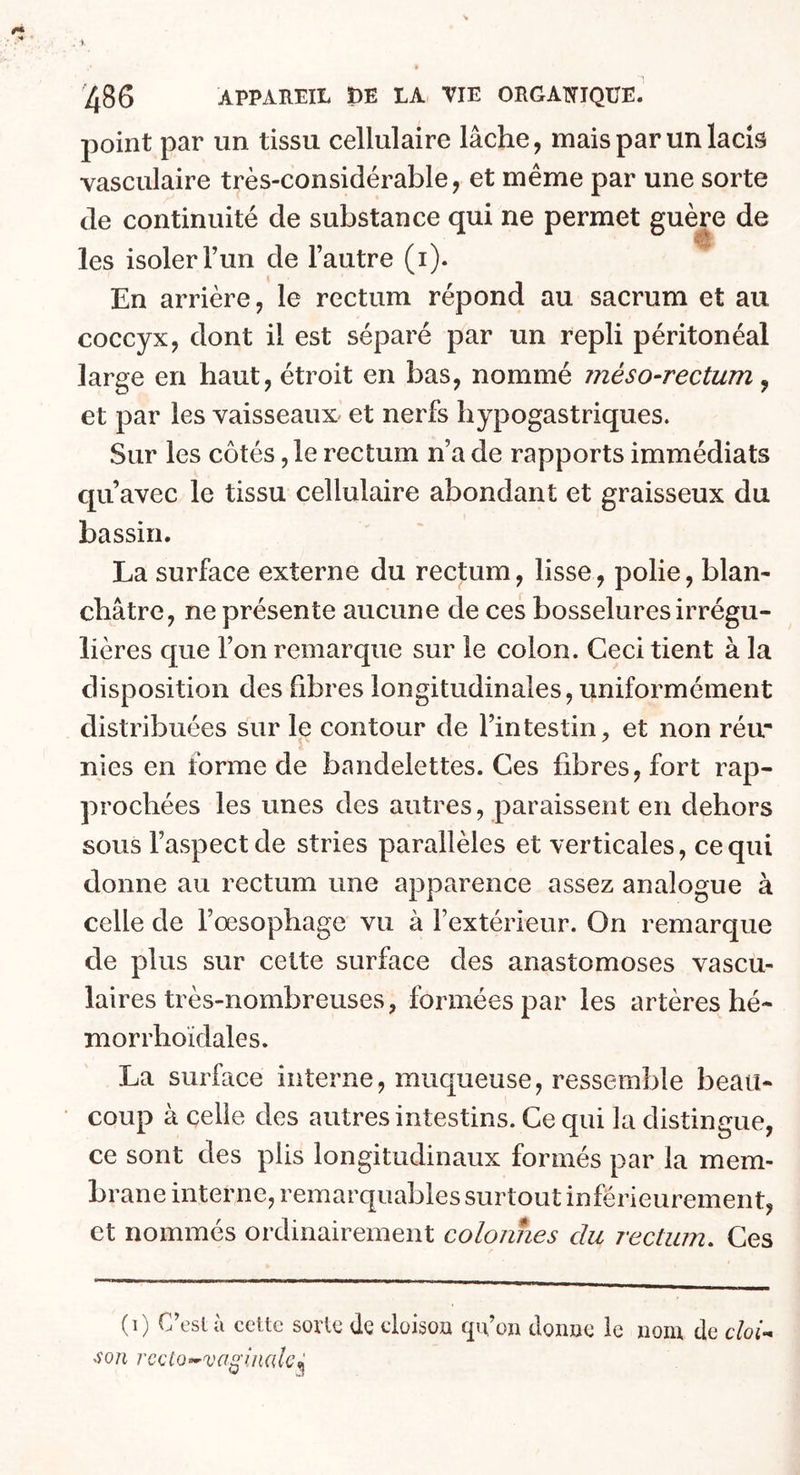 point par un tissu cellulaire lâche, mais par un lacis vasculaire très-considérable, et même par une sorte de continuité de substance qui ne permet guère de les isoler l’un de l’autre (i). En arrière, le rectum répond au sacrum et au coccyx, dont il est séparé par un repli péritonéal large en haut, étroit en bas, nommé méso-rectum, et par les vaisseaux et nerfs hypogastriques. Sur les côtés, le rectum n’a de rapports immédiats qu’avec le tissu cellulaire abondant et graisseux du bassin. La surface externe du rectum, lisse, polie, blan- châtre, ne présente aucune de ces bosselures irrégu- lières que l’on remarque sur le colon. Ceci tient à la disposition des fibres longitudinales, uniformément distribuées sur le contour de l’intestin, et non réir nies en forme de bandelettes. Ces fibres, fort rap- prochées les unes des autres, paraissent en dehors sous l’aspect de stries parallèles et verticales, ce qui donne au rectum une apparence assez analogue à celle de l’œsophage vu à l’extérieur. On remarque de plus sur celte surface des anastomoses vascu- laires très-nombreuses, formées par les artères hé- morrhoïdales. La surface interne, muqueuse, ressemble beau- coup à celle des autres intestins. Ce qui la distingue, ce sont des plis longitudinaux formés par la mem- brane interne, remarquables surtout inférieurement, et nommés ordinairement colonnes du rectum. Ces (i) C’esiii cette sorte de cloison qifon donne le nom de cloi- son rccto~vaginale$