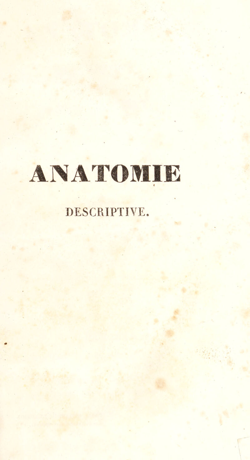 ANATOMIE < DESCRIPTIVE.