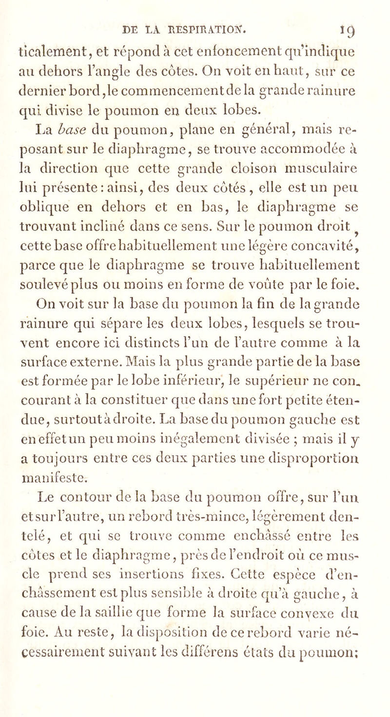 tlcalement, et répond à cet enloncement qu’indique au dehors l’angle des côtes. On voit en haut, sur ce dernier bord ,1e commencement de la grande rainure qui divise le poumon en deux lobes. La hase du poumon, plane en général, mais re- posant sur le diaphragme, se trouve accommodée à la direction que cette grande cloison musculaire lui présente : ainsi, des deux côtés, elle est un peu oblique en dehors et en bas, le diaphragme se trouvant incliné dans ce sens. Sur le poumon droit cette base offre habituellement une légère concavité, parce que le diaphragme se trouve habituellement soulevé plus ou moins en forme de voûte par le foie. On voit sur la base du poumon la fm de la grande rainure qui sépare les deux lobes, lesquels se trou- vent encore ici distincts l’un de l’autre comme à la surface externe. Mais la plus grande partie de la base est formée par le lobe inférieur, le supérieur ne con. courant à la constituer que dans une fort petite éten- due, surtoutàdroite. La base du poumon gauche est eneffetun peu moins inégalement divisée ; mais il y a toujours entre ces deux parties une disproportion manifeste. Le contour de la base du poumon offre, sur ruu et sur l’autre, un rebord très-mince, légèrement den- telé, et qui se trouve comme enchâssé entre les côtes et le diaphragme, près de l’endroit où ce mus- cle prend ses insertions fixes. Cette espèce d’en- châssement est plus sensible à droite qu’à gauche, à cause de la saillie que forme la surface convexe du foie. Au reste, la disposition de ce rebord varie né- cessairement suivant les différens états du poumon;