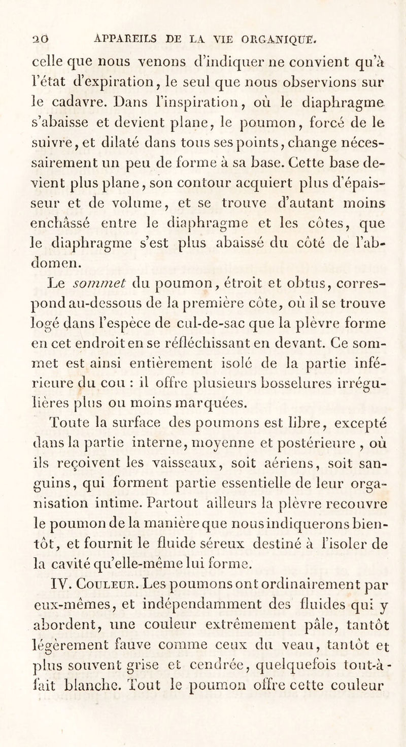 celle que nous venons crincliquer ne convient qu’à l’état d’expiration, le seul que nous observions sur le cadavre. Dans l’inspiration, où le diaphragme s’abaisse et devient plane, le poumon, forcé de le suivre, et dilaté dans tous ses points, change néces- sairement un peu de forme à sa base. Cette base de- vient plus plane, son contour acquiert plus d’épais- seur et de volume, et se trouve d’autant moins enchâssé entre le diaphragme et les côtes, que le diaphragme s’est plus abaissé du côté de l’ab- domen. Le sommet du poumon, étroit et obtus, corres- pond au-dessous de la première côte, où il se trouve logé dans l’espèce de cul-de-sac que la plèvre forme en cet endroit en se réfléchissant en devant. Ce som- met est ainsi entièrement isolé de la partie infé- rieure du cou : il offre plusieurs bosselures irrégu- lières plus ou moins marquées. Toute la surface des poumons est libre, excepté dans la partie interne, moyenne et postérieure , où ils reçoivent les vaisseaux, soit aériens, soit san- guins, qui forment partie essentielle de leur orga- nisation intime. Partout ailleurs la plèvre recouvre le poumon de la manière que nous indiquerons bien- tôt, et fournit le fluide séreux destiné à fisoler de la cavité qu’elle-méme lui forme. IV. Couleur. Les poumons ont ordinairement par eux-mémes, et indépendamment des fluides qui y abordent, une couleur extrêmement pâle, tantôt légèrement fauve comme ceux du veau, tantôt et plus souvent grise et cendrée, quelquefois tout-à- fait blanche. Tout le poumon offre cette couleur