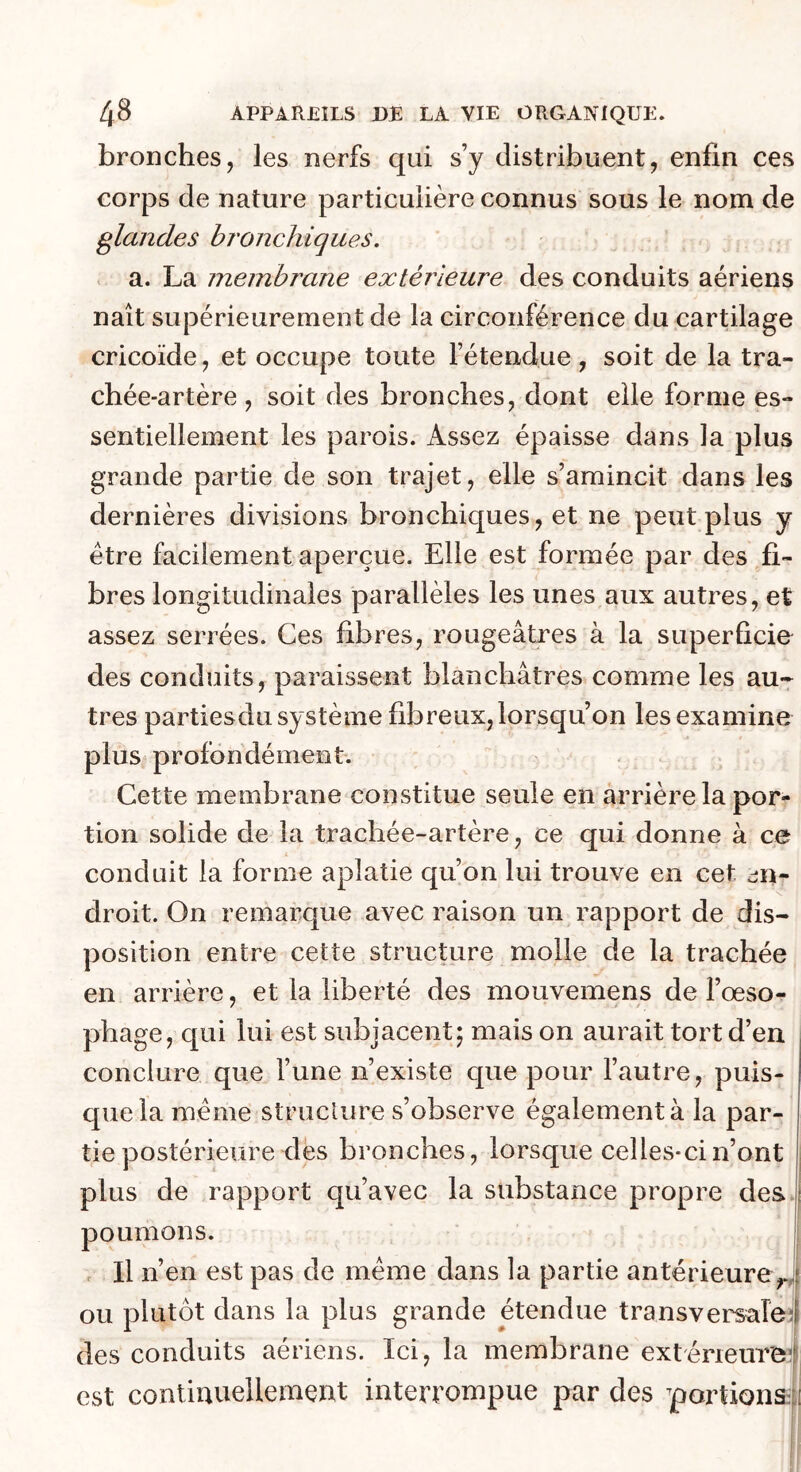bronches, les nerfs qui s’y distribuent, enfin ces corps de nature particulière connus sous le nom de glandes bronchiques. a. La membrane extérieure des conduits aériens naît supérieurement de la circonférence du cartilage cricoïde, et occupe toute fétendue, soit de la tra- chée-artère , soit des bronches, dont elle forme es- sentiellement les parois. Assez épaisse dans la plus grande partie de son trajet, elle s’amincit dans les dernières divisions bronchiques, et ne peut plus y être facilement aperçue. Elle est formée par des fi- bres longitudinales parallèles les unes aux autres, et assez serrées. Ces fibres, rougeâtres à la superficie des conduits, paraissent blanchâtres comme les au- tres partiesdu système fibreux, lorsqu’on les examine plus^ profondément. Cette membrane constitue seule en arrière la por- tion solide de la trachée-artère, ce qui donne à ce conduit la forme aplatie qu’on lui trouve en cet jn- droit. On remarque avec raison un rapport de dis- position entre cette structure molle de la trachée en arrière, et la liberté des mouvemens de l’œso- phage, qui lui est subjacent; mais on aurait tort d’en conclure que l’une n’existe que pour l’autre, puis- que la meme strucUire s’observe également à la par- tie postérieure des bronches, lorsque celles-ci n’ont plus de rapport qu’avec la substance propre des. poumons. Il n’en est pas de meme dans la partie antérieure^ ou plutôt dans la plus grande étendue transversalei des conduits aériens. Ici, la membrane extérieuT^I est continuellement interrompue par des portions i