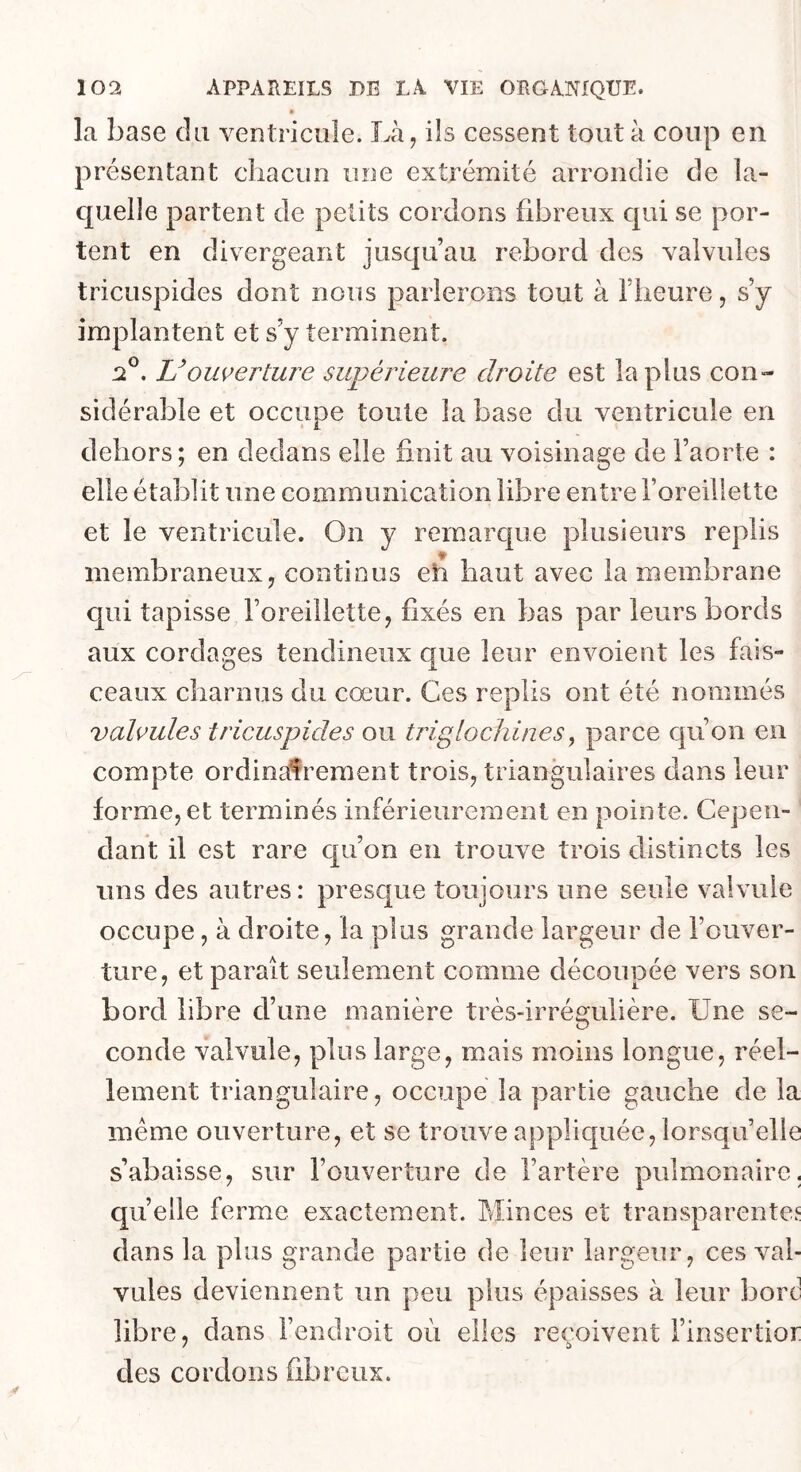 la base du ventricule. Là, ils cessent tout à coup en présentant chacun une extrémité arrondie de la- quelle partent de petits cordons fibreux qui se por- tent en divergeant jusqu’au rebord des valvules tricuspides dont nous parlerons tout à l’heure, s’y implantent et s’y terminent. 2®. U ouverture supérieure droite est la plus con- sidérable et occupe toute la base du ventricule en dehors ; en dedans elle finit au voisinage de l’aorte : elle établit une communication libre entre l’oreillette et le ventricule. On y remarque plusieurs replis membraneux, continus eh haut avec la membrane qui tapisse l’oreillette, fixés en bas par leurs bords aux cordages tendineux que leur envoient les fais- ceaux charnus du cœur. Ces replis ont été nommés valvules tricuspides ou tiiglochines, parce qu on en compte ordina^ement trois, triangulaires dans leur forme, et terminés inférieurement en pointe. Cepen- dant il est rare c|u’on en trouve trois distincts les uns des autres: presque toujours une seule valvule occupe, à droite, la plus grande largeur de l’ouver- ture, et parait seulement comme découpée vers son bord libre d’une manière très-irrégulière. Une se- conde valvule, plus large, mais moins longue, réel- lement triangulaire, occupe la partie gauche de la même ouverture, et se trouve appliquée, lorsqu’elle s’abaisse, sur l’ouverture de l’artère pulmonaire, quelle ferme exactement. Minces et transparentes dans la plus grande partie de leur largeur, ces val- vules deviennent un peu plus épaisses à leur bord libre, dans l’endroit où elles reçoivent l’insertior des cordons fibreux.