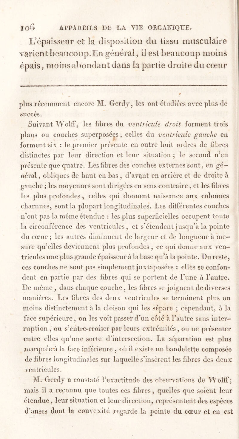 L’épaisseur et la disposition du tissu musculaire varient beaucoup. En général, il est beaucoup moins épais 5 moins abondant dans la partie droite du cœur plus récemment encore M. Gerdy, les ont étudiées avec plus de succès. Suivant WollF^ les fibres du ventricule droit forment trois plans ou conciles superposées ; celles du ventricule gauche en forment six : le premier présente en outre huit ordres de fibres distinctes par leur direction et leur situation ; le second n’en présente cpie quatre. Les fibres des couebes externes sont, en gé- néral , obliques de baut en bas , d’av^it en arrière et de droite à gauebe ; les moyennes sont dirigées en sens contraire , et les fibres les plus profondes , celles qui donnent naissance aux colonnes cbarnues, sont la plupart longitudinales. Les différentes couebes n’ont pas la même étendue : les plus superficielles occupent toute la circonférence des ventricules, et s’étendent jusqu’à la pointe du cœur ; les autres diminuent de largeur et de longueur à me- sure qu’elles deviennent plus profondes , ce cjui donne aux ven- tricules une plus grande épaisseur à la base qu’à la pointe. Du reste, ces couebes ne sont pas simplement juxtaposées : elles se confon- dent en partie par des fibres qui se portent de l’une à l’autre. De même, dans cbaque couebe , les fibres se joignent de diverses manières. Les fibres des deux ventricules se terminent plus ou moins distinctement à la cloison qui les sépare ; cependant, à la face supérieure, on les voit passer d’un coté à l’autre sans inter- ruption , ou s’entre-croiser par leurs extrémités , ou ne présenter entre elles qu’une sorte d’intersection. La séparation est plus marquée-àla face inférieure , où il existe un bandelette composée de fibres longitudinales sur laquelle s’insèrent les fibres des deux ventricules. M. Gerdy a constaté l’exactitude des observations de Wolff; mais il a reconnu que toutes ces fibres, quelles que soient leur étendue , leur situation et leur direction, représentent des espèces d’anses dont la convexité regarde la pointe du cœur et en est