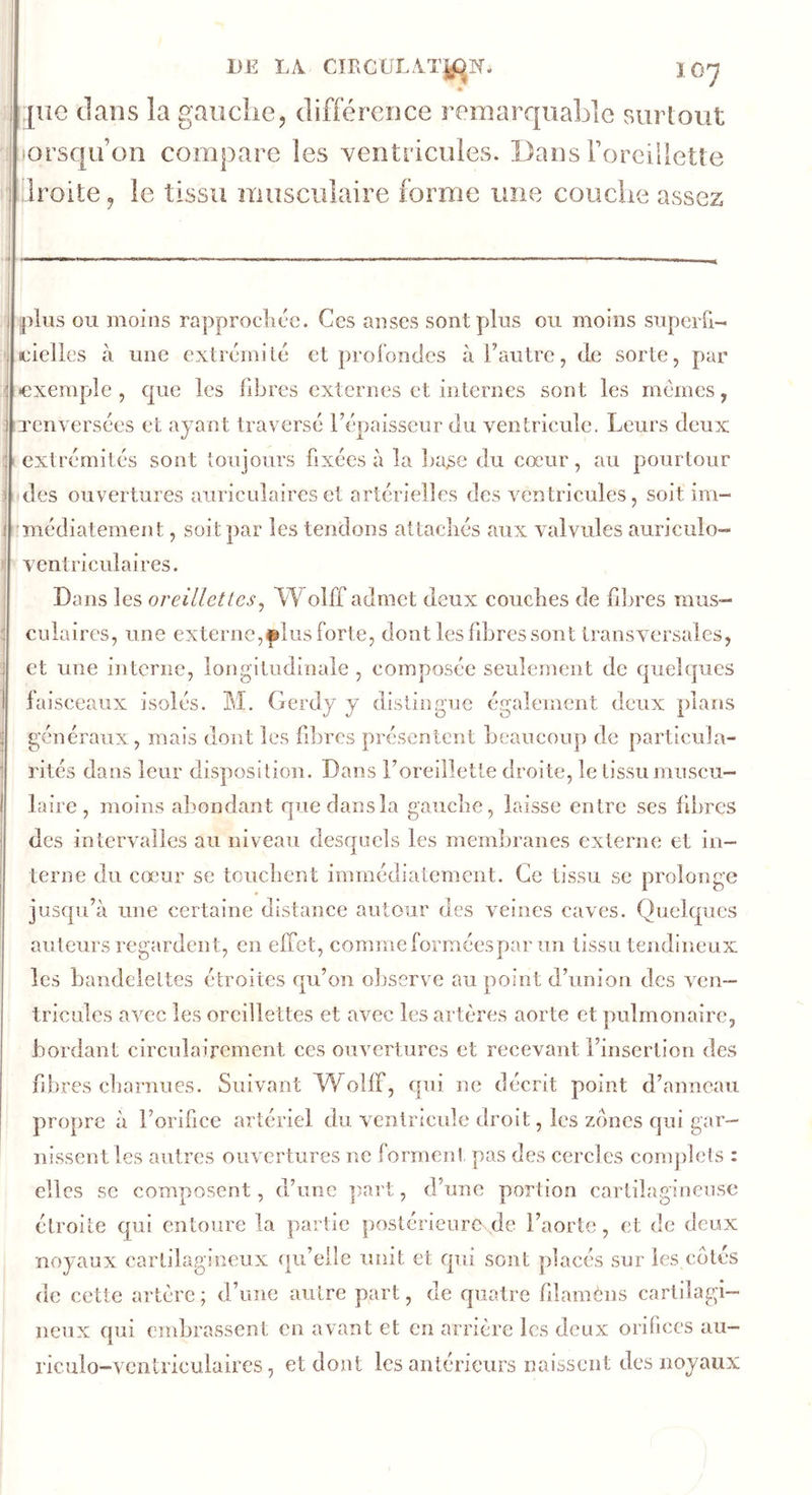 DE LA. CTRCüL\T|f;jN. IO7 |iic clans la gauche, différence remarquable surlout i ,iorsc|u’on compare les yentricules. Dans i’oreillette ' Iroite^ le tissu musculaire forme une couche assez plus ou moins rapproelioc. Ces anses sont plus ou moins superri- ^ leielles à une extrémilé et prol'ondes à l’autre, de sorte, par ' exemple , que les libres externes et internes sont les memes, : 'Tenversées et ayant traversé l’épaisseur du ventricule. Leurs deux ! I extrémités sont toujours fixées à la lia^c du cœur, au pourtour 1 des ouvertures auriculaires et artérielles des ventricules, soit im- i 'médiatement, soit par les tendons attachés aux valvules auriculo- ) ventriculaires. Dans les oreillettes^ Wolff admet deux couches de lilires raus- ; culaires, une externe, ©lus forte, dont les fibres sont transversales, ; et une interne, longitudinale , composée seulement de quelques faisceaux isolés. M. Gerdy y distingue également deux plans généraux, mais dont les fibres présentent beaucoup de particula- rités dans leur disposition. Dans l’oreillette droite, le tissu muscu- laire , moins aliondant que dans la gauche, laisse entre ses fibres des intervalles au niveau desquels les membranes externe et in- terne du cœur se touchent immédiatement. Ce tissu se prolonge î jusqu’à une certaine distance autour des veines caves. Quelques auteurs regardent, en effet, comme formées par un tissu tendineux les bandelettes étroites qu’on observe au point d’union des ven- tricules avec les oreillettes et avec les artères aorte et pulmonaire, bordant clrculairement ces ouvertures et recevant l’insertion des fibres charnues. Suivant LVolff, qui ne décrit point d’anneau propre à l’orifice artériel du ventricule droit, les zones qui gar- nissent les autres ouvertures ne forment pas des cercles complets : clics se composent, d’une ])art, d’une portion cartilagineuse étroite qui entoure la partie postérieure de l’aorte, et de deux noyaux cartilagineux <|u’elle unit et qui sont placés sur les cotés de cette artère ; d’une autre part, de quatre hlamèns cartilagi- neux qui embrassent en avant et en arrière les deux orifices au- riculo-venlricuiaires, et dont les antérieurs naissent des noyaux