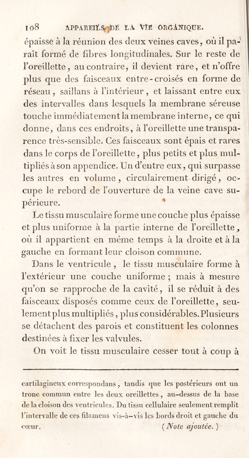 lo8 ÂPPiVIlElt;S/;.ï)fi LA VÎ:E OPGlmQUE, épaisse à la réunion des deux veines caves, où il pa- raît formé de fibres longitudinales. Sur le reste de roreillette, au contraire, il devient rare, et n’offre plus que des faisceaux entre-croisés en forme de réseau , saillans à l’intérieur , et laissant entre eux des intervalles dans lesquels la membrane séreuse touche immédiatement la membrane interne, ce qui donne, dans ces endroits, à l’oreillette une transpa- rence très-sensible. Ces faisceaux sont épais et rares dans le corps de l’oreillette, plus petits et plus mul- tipliés à son appendice. Un d’entre eux, qui surpasse les autres en volume , circulairement dirigé, oc- cupe le rebord de l’ouverture de la veine cave su- périeure. Le tissu musculaire forme une couche plus épaisse et plus uniforme à la partie interne de l’oreillette^ où il appartient en meme temps à la droite et à la gauche en formant leur cloison commune. Dans le ventricule , le tissu musculaire forme à l’extérieur une couche uniforme ; mais à mesure qu’on se rapproche de la cavité, il se réduit à des faisceaux disposés comme ceux de l’oreillette, seu- lement plus multipliés, plus considérables.Plusieurs se détachent des parois et constituent les colonnes destinées à fixer les valvules. On voit le tissu musculaire cesser tout à coup à cartilagineux correspondans , tandis que les postérieurs ont un tronc commun entre les deux oreillettes , au-dessus de la base de la cloison des ventricules. Du tissu cellulaire seulement remplit rintervallc de ces filamens vis-à—vis les bords droit et gauebe du ( Note ajoutée. ) cœur.