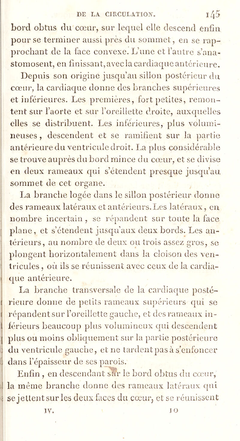 bord obtus du cœur, sur lequel elle descend enfin pour se terminer aussi près du sommet, en se rap- prochant de la face convexe. L’une et l’autre s’ana- stomosent, en finissant, avec la cardiaque antérieure. Depuis son origine jusqu’au sillon postérieur du cœur, la cardiaque donne des branches supérieures et inférieures. Les premières, fort petites, remon- tent sur l’aorte et sur roreiliette droite, auxcmelles elles se distribuent. Les inférieures, plus volumi- neuses , descendent et se ramifient sur la partie antérieure du ventricule droit. La plus considérable se trouve auprès du bord mince du cœur, et se divise en deux rameaux c|ui s’étendent presque jusc[u’au sommet de cet organe. La branche logée dans le sillon postérieur donne des rameaux latéraux et antérieurs. Les latéraux, en nombre incertain , se répandent sur toute la face plane, et s’étendent jusqu’aux deux bords. Les an- térieurs, au nombre de deux ou trois assez gros, se plongent horizontalement dans la cloison des ven- tricules , où ils se réunissent avec ceux de la cardia- que antérieure. La branche transversale de la cardiaque posté- rieure donne de petits rameaux supérieurs qui se répandent sur l’oreillette gauclie, et des rameaux in- férieurs beaucoup plus volumineux qui descendent plus ou moins obiicfuement sur la partie postérieure du ventricule gauche, et ne tardent pas à s’enfoncer dans l’épaisseur de ses parois. Enfin , en descendant sùr le bord obtus du cœur, la même branche donne des rameaux latéraux qui se jellent sur les deux faces du cœur, et se réunissent IV. J O