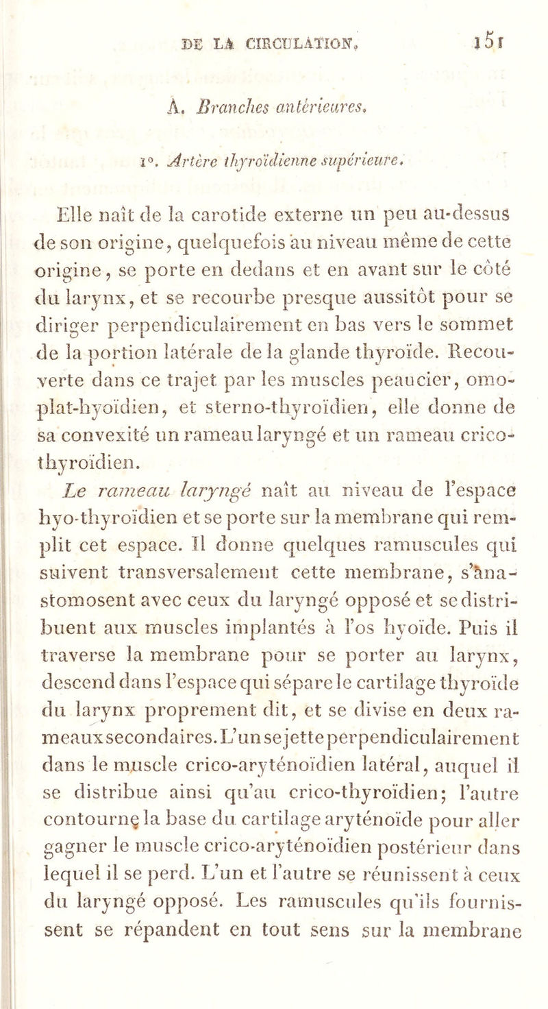 A. Branches antérieures, i°. Artère thjroüUenne supérieure, Elie naît de îa carotide externe iin peu au-dessus de son origine, queiquefois au niveau meme de cette origine, se porte en dedans et en avant sur le côté du larynx, et se recourbe presque aussitôt pour se diriger perpendiculairement en bas vers le sommet de la portion latérale de îa glande thyroïde. Recou« verte dans ce trajet par les muscles peaucier, omo- plat-hyoïdien, et sterno-thyroïdien, elle donne de sa convexité un rameau laryngé et un rameau crico- tliyroïdien. Le rameau laryngé naît au niveau de l’espace byo*tliyroïdien et se porte sur la membrane qui rem- plit cet espace. Il donne cpielques ramuscules qui suivent transversalement cette membrane, s’ana- stomosent avec ceux du laryngé opposé et se distri- buent aux muscles implantés à l’os hyoïde. Puis il traverse la membrane pour se porter au larynx, descend dans l’espace qui sépare le cartilage thyroïde du larynx proprement dit, et se divise en deux ra- meauxsecondaires. L’un se jette perpendiculairement dans le muscle crico-aryténoïdien latéral, auquel il se distribue ainsi qu’au crico-thyroïdien; l’autre contournç îa base du cartilage aryténoïde pour aller gagner le muscle crico-aryténoïdien postérieur dans lequel il se perd. L’un et l’autre se réunissent à ceux du laryngé opposé. Les ramuscules qu’ils fournis- sent se répandent en tout sens sur la membrane