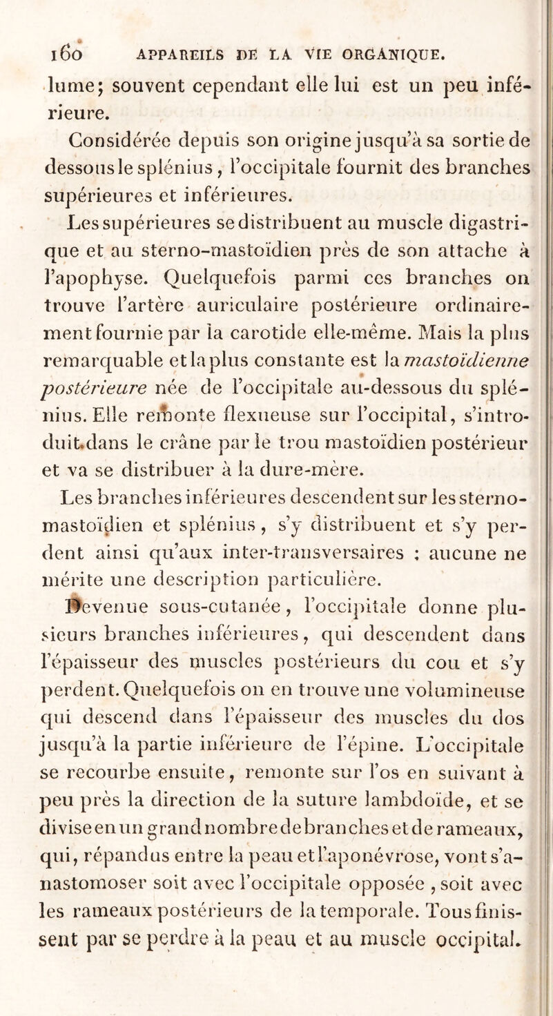 -lume; souvent cependant elle lui est un peu infé- rieure. Considérée depuis son origine jusqu à sa sortie de dessous le spiénius, l’occipitale fournit des branches supérieures et inférieures. Les supérieures se distribuent au muscle digastri- que et au sterno-oiastoïdien près de son attache à ] l’apophyse. Quelquefois parmi ces branches on | trouve l’artère auriculaire postérieure ordinaire- | ment fournie par la carotide elle-même. Mais la plus || remarquable etlaplus constante est \‘ùi mastoïdienne \ postérieure née de l’occipitale au-dessous du spié- nius. Elle reihonte flexueuse sur l’occipital, s’intro- duit.dans le crâne parie trou mastoïdien postérieur et va se distribuer à la dure-mère. I Les branches inférieures descendent sur les sterno- • mastoïdien et spiénius, s’y distribuent et s’y per- | dent ainsi qu’aux inter-transversaires : aucune ne | mérite une description particulière. ^ Hevenue sous-cutanée, l’occipitale donne plu- | sieurs branches inférieures, qui descendent dans i l’épaisseur des muscles postérieurs du cou et s’y | perdent. Quelquefois on en trouve une volumineuse qui descend dans l’épaisseur des muscles du dos jusqu’à la partie inférieure de l’épine. L'occipitale se recourbe ensuite, remonte sur l’os en suivant à peu près la direction de la suture lambdoïde, et se divise en un grand nombre debran ches et de rameaux, qui, répandus entre la peau et l’aponévrose, vont s’a- nastomoser soit avec l’occipitale opposée , soit avec les rameaux postérieurs de latemporale. Tous finis- sent par se perdre à la peau et au muscle occipital.