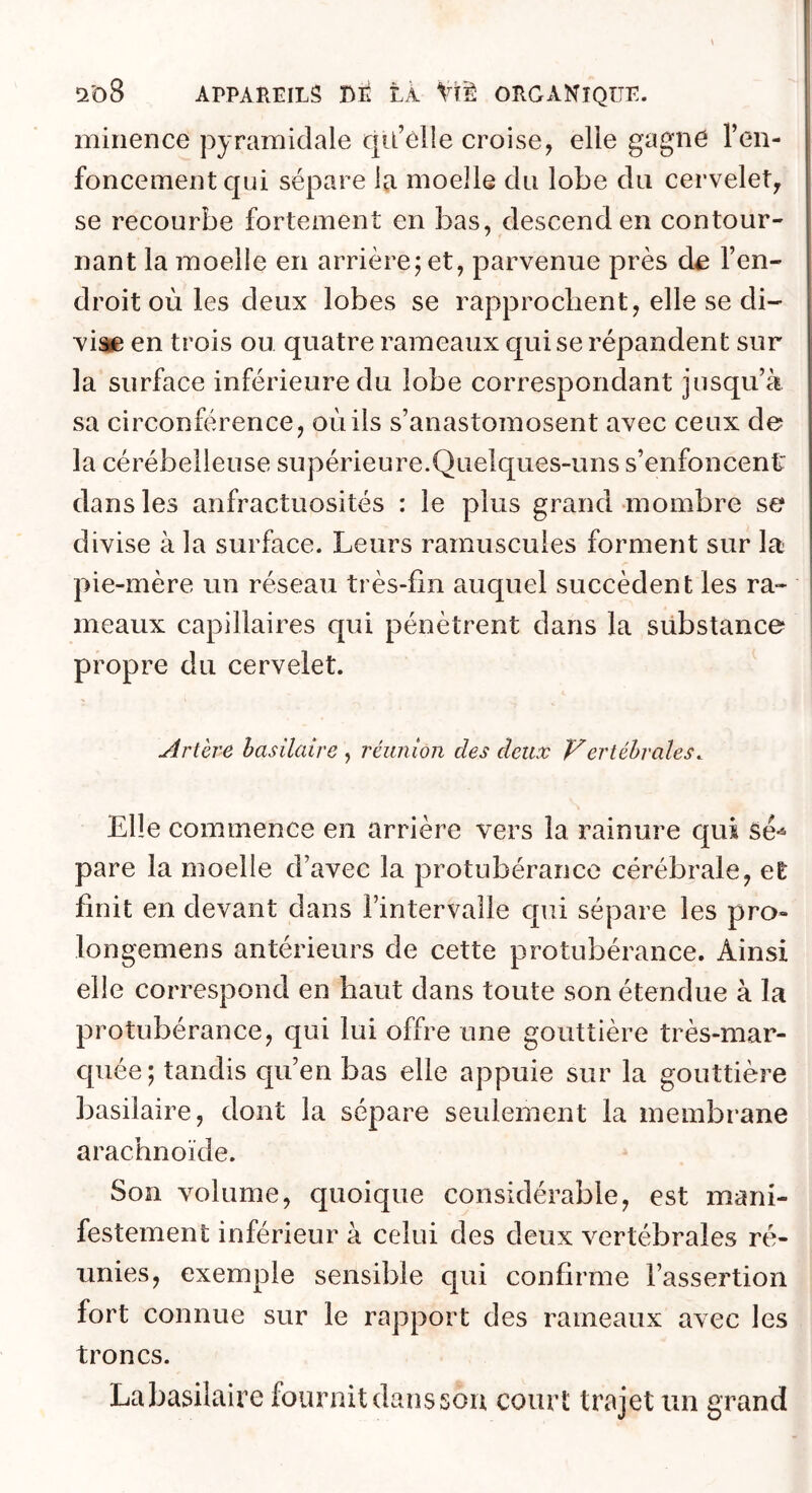 ^'o8 APPAREILS Bli LÀ Vïè ORGANIQUE. mirience pyramidale qiL’ôlIe croise, elle gagne l’en- foncement qui sépare la moelle du lobe du cervelet, se recourbe fortement en bas, descend en contour- nant la moelle en arrière; et, parvenue près de l’en- droit où les deux lobes se rapprochent, elle se di- viae en trois ou quatre rameaux qui se répandent sur la surface inférieure du lobe correspondant jusqu’à sa circonférence, oiiils s’anastomosent avec ceux de la cérébelleuse supérieure.Quelques-uns s’enfoncent dans les anfractuosités : le plus grand mombre se divise à la surface. Leurs ramuscules forment sur la pie-mère un réseau très-fin auquel succèdent les ra- meaux capillaires qui pénètrent dans la substance propre du cervelet. Artère basilaire , réunion des deux Vertébrales^ Elle commence en arrière vers la rainure qui sé-* pare la moelle d’avec la protubérance cérébrale, et finit en devant dans l’intervalle qui sépare les pro- longemens antérieurs de cette protubérance. Ainsi elle correspond en haut dans toute son étendue à la protubérance, qui lui offre une gouttière très-mar- quée; tandis qu’en bas elle appuie sur la gouttière basilaire, dont la sépare seulement la membrane arachnoïde. Son volume, quoique considérable, est mani- festement inférieur à celui des deux vertébrales ré- unies, exemple sensible qui confirme l’assertion fort connue sur le rapport des rameaux avec les troncs. Labasilaire fournit danssou court trajet un grand