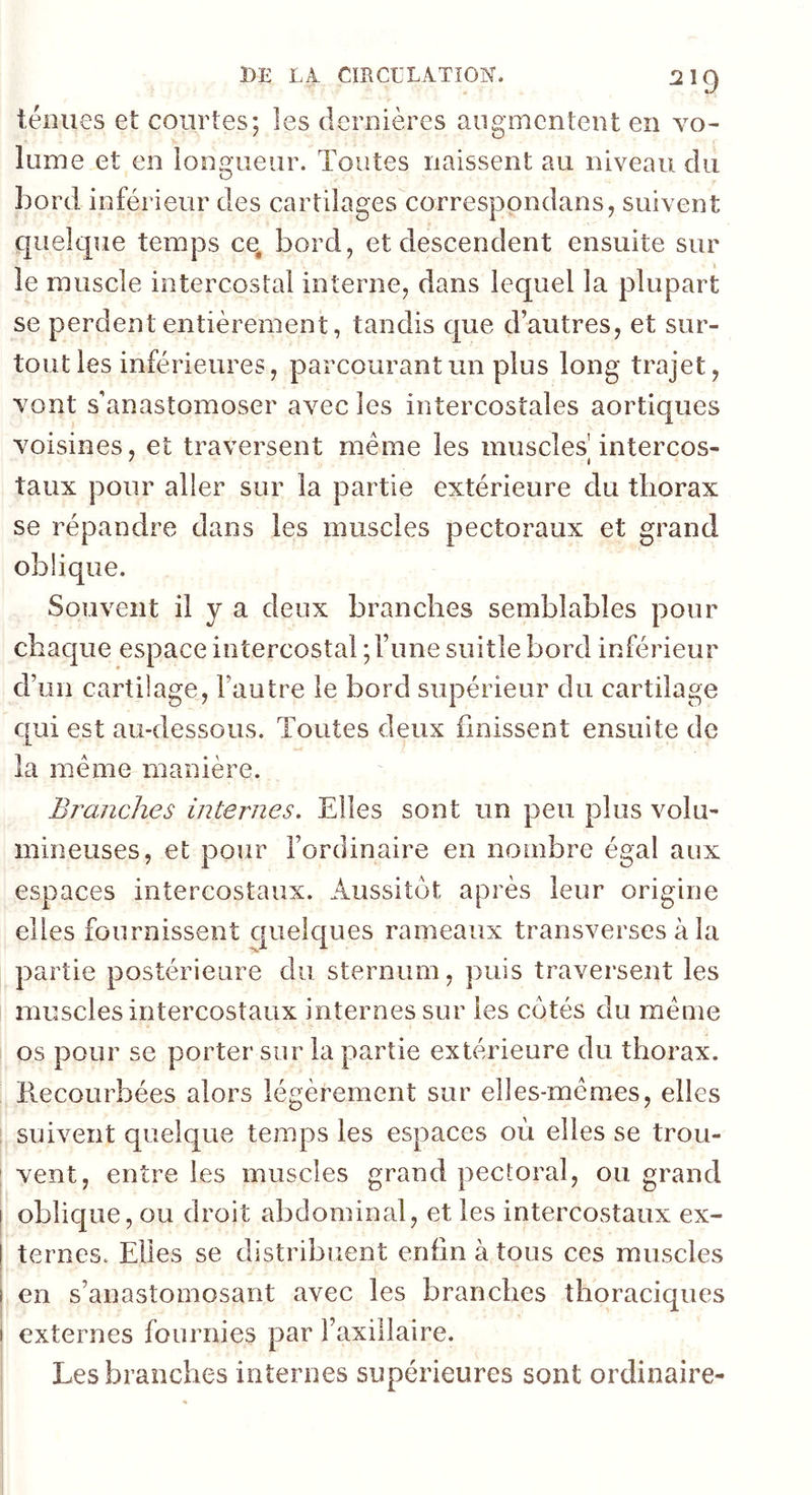 ténues et courtes; les dernières augmentent en vo- lume et en longueur. Toutes naissent au niveau du bord inférieur des cartilages correspondans, suivent quekpie temps ce. bord, et descendent ensuite sur le muscle intercostal interne, dans lequel la plupart se perdent entièrement, tandis que d’autres, et sur- tout les inférieures, parcourant un plus long trajet, vont s'anastomoser avec les intercostales aortiques voisines, et traversent meme les muscles intercos- taux pour aller sur la partie extérieure du thorax se répandre dans les muscles pectoraux et grand oblique. Souvent il y a deux branches semblables pour chaque espace intercostal; l’une suitle bord inférieur d’un cartilage, l’autre le bord supérieur du cartilage qui est au-dessous. Toutes deux finissent ensuite de la meme manière. Branches internes. Elles sont un peu plus volu- mineuses, et pour l’ordinaire en nombre égal aux espaces intercostaux. Aussitôt après leur origine elles fournissent quelques rameaux transverses à la partie postérieure du sternum, puis traversent les muscles intercostaux internes sur les cotés du meme os pour se porter sur la partie extérieure du thorax, hecourbées alors légèrement sur elles-mêmes, elles ! suivent quelque temps les espaces où elles se trou- : vent, entre les muscles grand pectoral, ou grand I oblique, ou droit abdominal, et les intercostaux ex- I ternes. Elles se distribuent enfin à tous ces muscles I en s’anastomosant avec les branches thoraciques I externes fournies par Faxillaire. Les branches internes supérieures sont ordinaire-