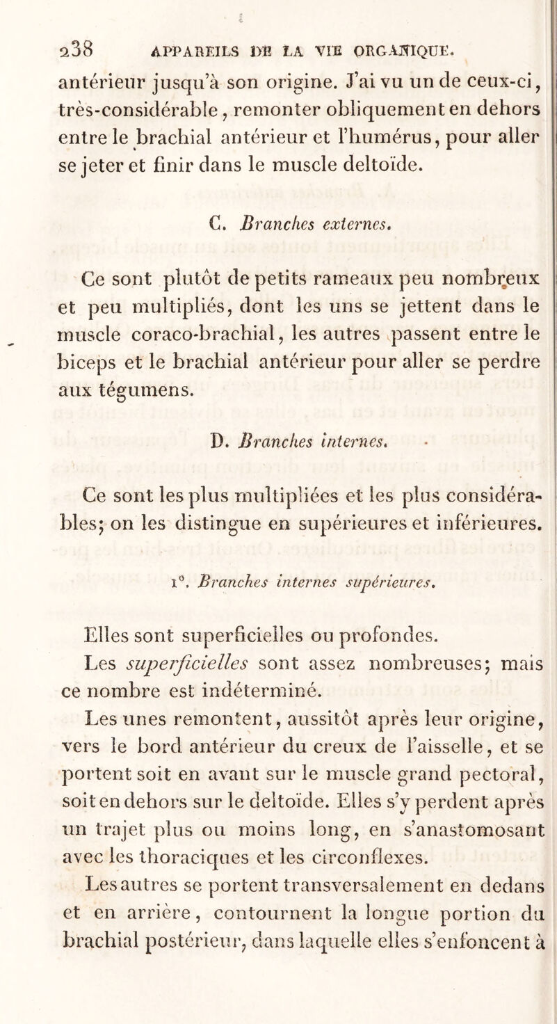 antérieur jusqu’à son origine. J’ai vu un de ceux-ci, i très-considérable , remonter obliquement en dehors i entre le brachial antérieur et l’humérus, pour aller se jeter et finir dans le muscle deltoïde. C. Branches externes» Ce sont plutôt de petits rameaux peu nombi;eux et peu multipliés, dont les uns se jettent dans le muscle coraco'brachial, les autres ^passent entre le biceps et le brachial antérieur pour aller se perdre aux tégumens. D. Branches internes» Ce sont les plus multipliées et les plus considéra- ^ blés; on les distingue en supérieures et inférieures. 1®. Branches internes supérieures. Elles sont superficielles ou profondes. Les superficielles sont assez nombreuses; mais ce nombre est indéterminé. Les unes remontent, aussitôt après leur origine, vers le bord antérieur du creux de Faisselle, et se portent soit en avant sur le muscle grand pectoral, soit en dehors sur le deltoïde. Elles s’y perdent après un trajet plus ou moins long, en s’anastomosant avec les thoraciques et les circonflexes. Les autres se portent transversalement en dedans et en arrière, contournent la longue portion du brachial postérieur, dans laquelle elles s’enfoncent à