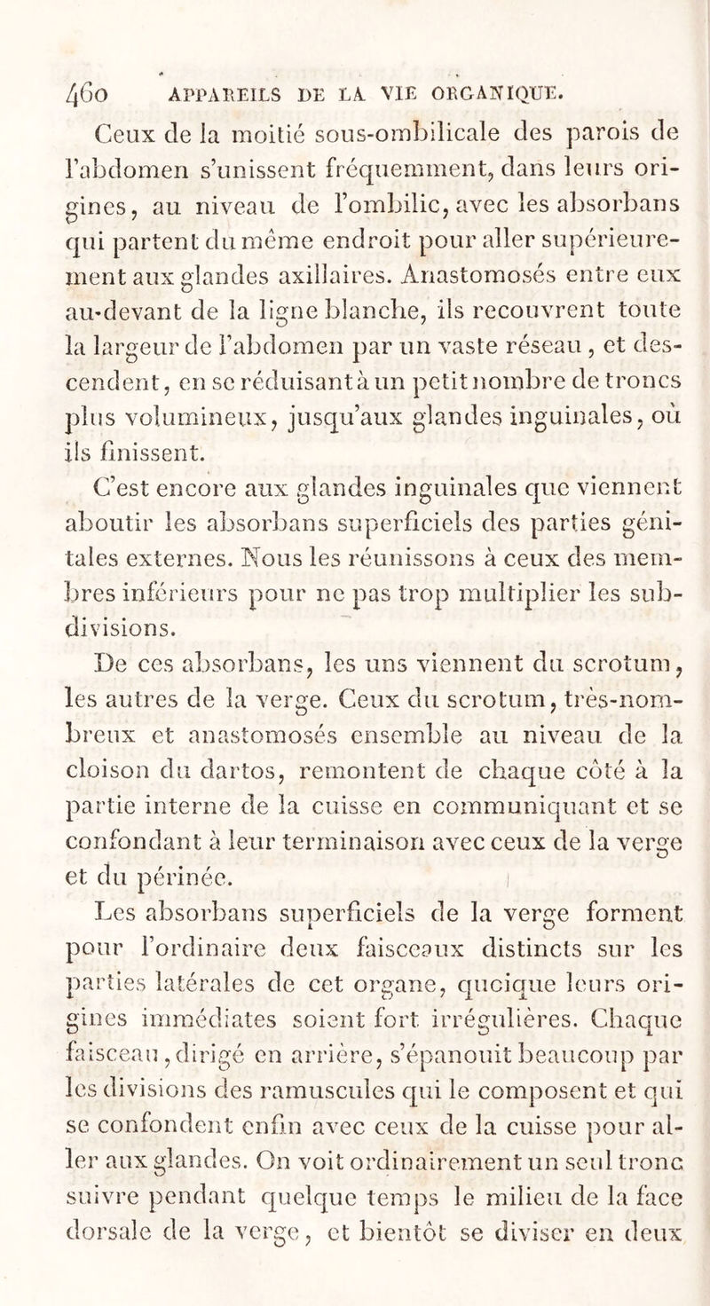 Ceux (le la moitié sous-ornbilicale des parois de l’abdomen s’unissent fréquemment dans leurs ori- gines, au niveau de l’ombilic, avec les absorbans qui partent du meme endroit pour aller supérieure- ment aux glandes axillaires. Anastomosés entre eux au’devant de la ligne blanche, ils recouvrent toute la largeur de l’abdomen par un vaste réseau , et des- cendent, en se réduisant à un petit nombre de troncs plus volumineux, jusqu’aux glandes inguinales, où ils finissent. C’est encore aux glandes inguinales que viennent aboutir les absorbans superficiels des parties géni- tales externes. Nous les réunissons à ceux des mem- bres inférieurs pour ne pas trop multiplier les sub- divisions. De ces absorbans, les uns viennent du scrotum, les autres de la verge. Ceux du scrotum, très-nom- breux et anastomosés ensemble au niveau de la cloison du dartos, remontent de chaque coté à la pa rtie interne de la cuisse en communiquant et se confondant à leur terminaison avec ceux de la verac et du périnée. i Les absorbans suoerficiels de la vercre forment i O pour l’ordinaire deux faisceaux distincts sur les parties latérales de cet organe, quoique leurs ori- gines immédiates soient fort irrégulières. Chaque faisceau , dirigé en arrière, s’épanouit beaucoup par les divisions des rarnuscules qui le composent et qui se confondent enfin avec ceux de la cuisse pour al- ler aux glandes. On voit ordinairement un seul tronc suivre pendant quelque temps le milieu de la face dorsale de la verge, et bientôt se diviser en deux