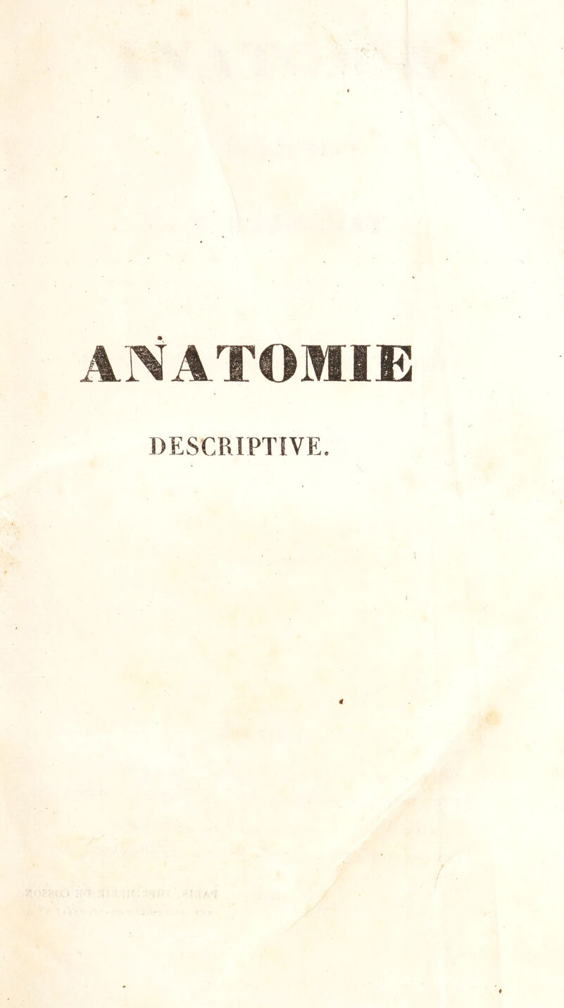 ANATOMIE DESCRIPTIVE.