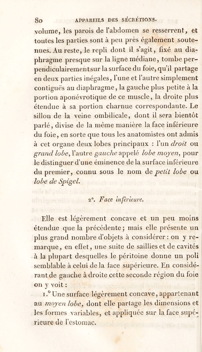 volume, les parois de l’abdomen se resserrent, et toutes les parties sont à peu près également soute- nues. Au reste, le repli dont il s’agit, fixé au dia- phragme presque sur la ligne médiane, tombe per- pendiculairement sur la surface du foie, qu’il partage en deux parties inégales, l’une et l’autre simplement contiguës au diaphragme, la gauche plus petite à la portion aponévrotique de ce muscle, la droite plus étendue à sa portion charnue correspondante. Le sillon de la veine ombilicale, dont il sera bientôt parlé, divise de la même manière la face inférieure du foie, en sorte que tous les anatomistes ont admis à cet organe deux lobes principaux : l’un droit ou grand l’autre appelé lobe moyen, pour le distinguer d’une éminence de la surface inférieure du premier, connu sous le nom de petit lobe ou lobe de SpigeL 2®. Face Inférieure, Elle est légèrement concave et un peu moins étendue que la précédente; mais elle présente un plus grand nombre d’objets à considérer : on y re- marque, en effet, une suite de saillies et de cavités à la plupart desquelles le péritoine donne un poli semblable à celui de la face supérieure. En considé- rant de gauche à droite cette seconde région du foie on y voit : i.^Une surface légèrement concave, appartenant au moyen lobe, dont elle partage les dimensions et les formes variables, et appliquée sur la face supé- rieure de festomac.