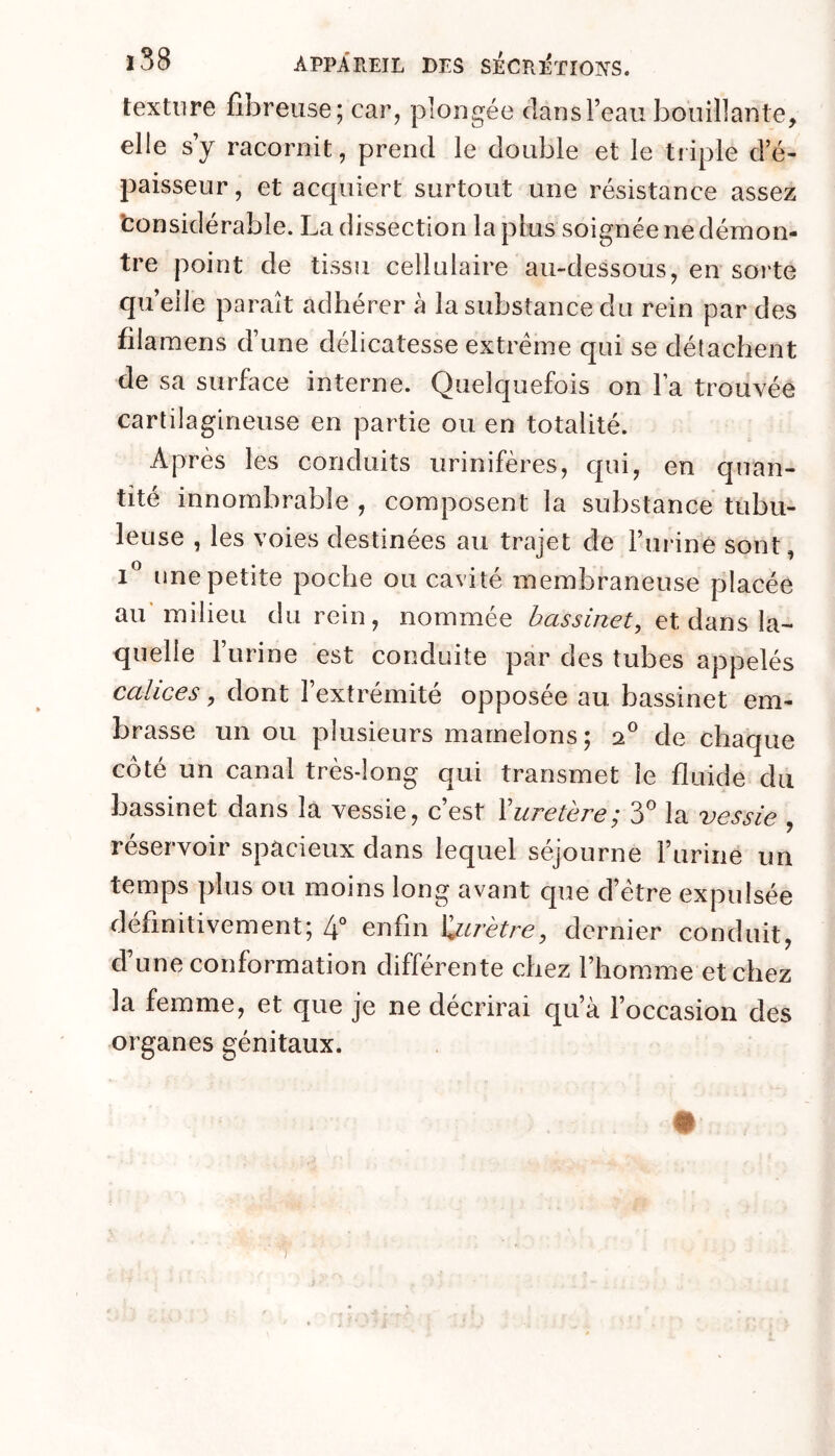 texture fibreuse; car, plongée dans l’eau bouillante, elle s’y racornit, prend le double et le tiiple d’é- paisseur , et acquiert surtout une résistance assez fconsidérable. La dissection la plus soignée ne démon- tre point de tissu cellulaire au-dessous, en sorte quelle paraît adhérer à la substance du rein par des filamens d’une délicatesse extrême qui se détachent de sa siirfiice interne. Quelquefois on la trouvée cartilagineuse en partie ou en totalité. Après les conduits urinifères, qui, en quan- tité innombrable , composent la substance tubu- leuse , les voies destinées au trajet de l’urine sont, i” une petite poche ou cavité membraneuse placée au'milieu du rein, nommée bassinet^ et dans la- quelle l’urine est conduite par des tubes appelés calices, dont l’extrémité opposée au. bassinet em- brasse un ou plusieurs mamelons ; de chaque côté un canal très-long qui transmet le fluide du bassinet dans la vessie, c’est Xuretère; S la vessie , réservoir spacieux dans lequel séjourne l’urine un temps plus ou moins long avant que d’étre expulsée définitivement; 4° enfin ljurètre, dernier conduit, d une conformation differente chez l’homme et chez la femme, et que je ne décrirai qu’à l’occasion des organes génitaux.