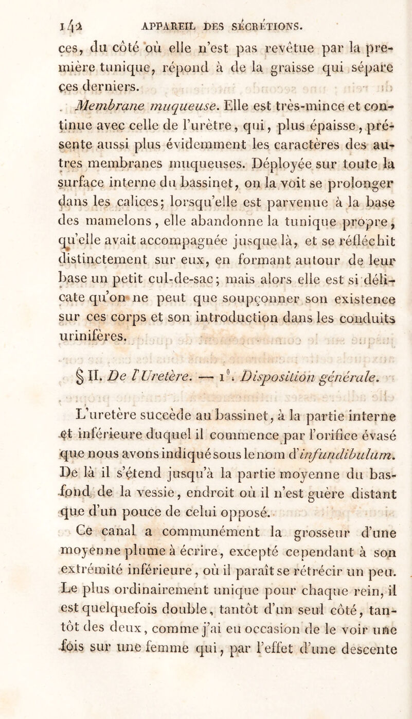 ces, (lu côté où elle n’est pas revêtue par la pre- mière tunique, répond à de la graisse qui sépare ces derniers. ‘ ^ . Membrane muqueuse. Elle est très-mince et con- tinue avec celle de l’urètre, qui, plus épaisse, pré- sente aussi plus évidemment les caractères des au-^ très membranes muqueuses. Déployée sur toute la surface interne du bassinet, on la voit se prolonger dans les calices; lorsqu’elle est parvenue à la base des mamelons, elle abandonne la tunique propre, (jTi’elle avait accompagnée jusque là, et se réfléchit distinctement sur eux, en formant autour de leur b,ase un petit cul-de-sac; mais alors elle est si déli- cate qu’on ne peut que soupçonner son existence sur ces corps et son introduction dans les conduits urinifères. . . § II. De t Uretère. — i\ Disposition générale, I L’uretère succède au bassinet, à la partie interne 4t inférieure duquel il commence par l’orifice évasé ique nous avons indiqué sous le nom éiinfunclihulum. De là il s’étend jusqu’à la partie moyenne du bas- -fpnd de la vessie, endroit où il n’est guère distant que d’un pouce de celui opposé.- i Ce canal a communément la grosseur d’une moyenne plume à écrire, excepté cependant à son extrémité inférieure, où il paraît se rétrécir un peu. Le plus ordinairement unique pour chaque rein, il est quelquefois double, tantôt d’un seul côté, tan- tôt des deux, comme j’ai eu occasion de le voir une fois sur une femme c|ui, par l’effet d’une descente