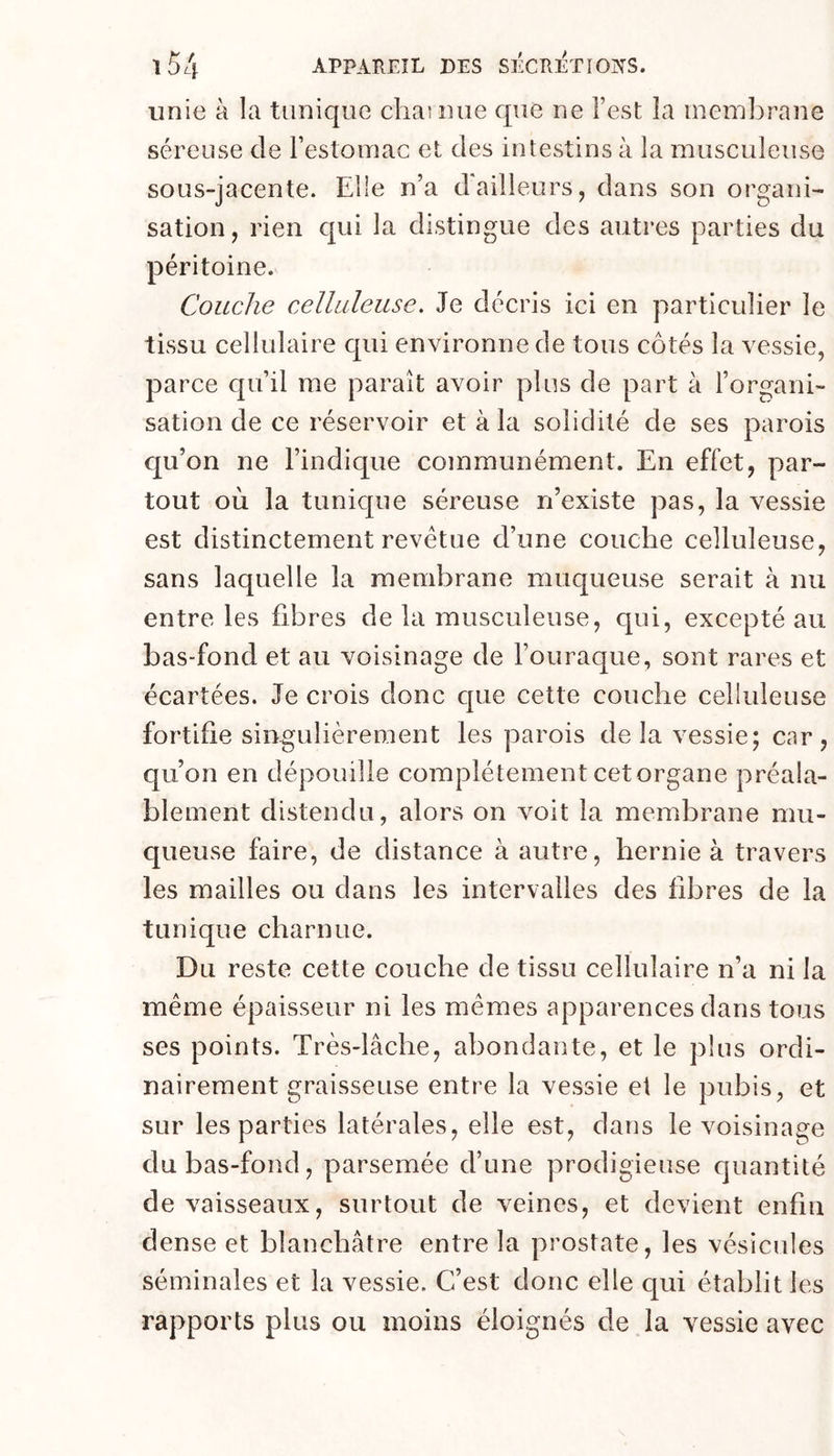 unie à la tunique chai nue que ne l’est la meml)rane séreuse de l’estoinac et des intestins à la musculeuse sous-jacente. Elle n’a dailleurs, dans son organi- sation, rien qui la distingue des autres parties du péritoine. Couche celluleuse. Je décris ici en particulier le tissu cellulaire qui environne de tous côtés la vessie, parce qu’il me paraît avoir plus de part à l’organi- sation de ce réservoir et à la solidité de ses parois qu’on ne l’indique communément. En effet, par- tout où la tunique séreuse n’existe pas, la vessie est distinctement revêtue d’une couche celluleuse, sans laquelle la membrane muqueuse serait à nu entre les fibres de la musculeuse, qui, excepté au bas-fond et au voisinage de l’ouraque, sont rares et écartées. Je crois donc cjue cette couche celiuleuse fortifie singulièrement les parois de la vessie; car , qu’on en dépouille complètement cet organe préala- blement distendu, alors on voit la membrane mu- queuse faire, de distance à autre, hernie à travers les mailles ou dans les intervalles des fibres de la tunique charnue. Du reste cette couche de tissu cellulaire n’a ni la même épaisseur ni les mêmes apparences dans tous ses points. Très-lâche, abondante, et le plus ordi- nairement graisseuse entre la vessie et le pubis, et sur les parties latérales, elle est, dans le voisinage du bas-fond, parsemée d’une prodigieuse quantité de vaisseaux, surtout de veines, et devient enfin dense et blanchâtre entre la prostate, les vésicules séminales et la vessie. C’est donc elle qui établit les rapports plus ou moins éloignés de la vessie avec