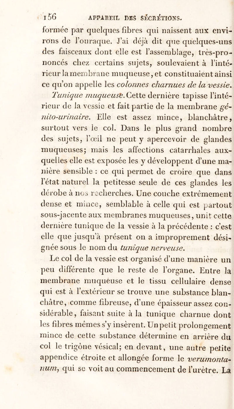 formée par quelques fibres qui naissent aux envi- rons de l’ouraque. J’ai déjà dit que quelques-uns des faisceaux dont elie est Fassembiage, très-pro- noncés chez certains sujets, soulevaient à l’inté- rieur la membrane muqueuse, et constituaient ainsi ce qu’on appelle les colonnes charnues de la vessie. Tunique muqueuse, dernière tapisse l’inté- rieur de la vessie et fait partie de la membrane gé- ni to air inaire. Elle est assez mince, blanchâtre, surtout vers le col. Dans le plus grand nombre des sujets, l’œil ne peut y apercevoir de glandes muqueuses; mais les affections catarrhales aux- quelles elle est exposée les y développent d’une ma- nière sensible : ce qui permet de croire que dans l’état naturel la petitesse seule de ces glandes les dérobe à nos recherches. Une couche extrêmement dense et mince, semblable à celle qui est partout sous-jacente aux membranes muqueuses, unit cette dernière tunique de la vessie à la précédente : c’est elle que jusqu’à présent on a improprement dési- gnée sous le nom du tunique nerveuse. Le col de la vessie est organisé d’une manière un peu différente que le reste de l’organe. Entre la membrane muqueuse et le tissu cellulaire dense qui est à l’extérieur se trouve une substance blan- châtre, comme fibreuse, d’une épaisseur assez con- sidérable, faisant suite à la tunique charnue dont les fibres mêmes s’y insèrent. Un petit prolongement mince de cette substance détermine en arrière du col le trigône vésical; en devant, une autre petite appendice étroite et allongée forme le verumonta- numy qui se voit au commencement de Furètre. La