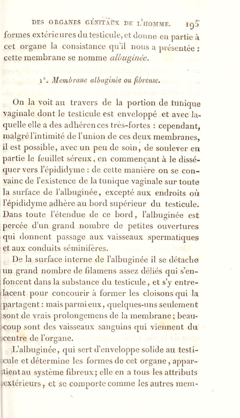 formes extérieures du testicule, et donne en partie à cet organe la consistance c|ii’il nous a présentée : cette membrane se nomme albuginée. 1*’. Membrane albuminée ou fibreuse. On la voit au travers de la portion de tunique vaginale dont le testicule est enveloppé et avec la- quelle elle a des adhérences très-fortes : cependant, malgré l’intimité de Funion de ces deux membranes, « ' il est possible, avec un peu de soin, de soulever en partie le feuillet séreux, en commençant à le dissé- cpiervers Fépididyme : de celte manière on se con- vainc de l’existence de la tunique vaginale sur toute la surface de l’albiiginée, excepté aux endroits où Fépididyme adhère au bord supérieur du testicule. Dans toute l’étendue de ce bord, Falbuginée est percée dhm grand nombre de petites ouvertures qui donnent passage aux vaisseaux spermatiques et aux conduits séminifères. De la surface interne de l’albiminée il se détache O un grand nombre de filamens assez déliés qui s’en- Ifoncent dans la substance du testicule, et s’y entre- I lacent pour concourir à former les cloisons qui la ^partagent : mais parmieux, quelques-uns seulement ;sont de vrais prolongemens de la membrane; beau- jicoup sont des vaisseaux sanguins qui viennent du iicentre de l’organe. L’albuginée, qui sert d’enveloppe solide au testi- :cule et détermine les formes de cet organe, appar- tient au système fdoreux; elle en a tous les attributs ^extérieurs, et se comporte comme les autres mem-