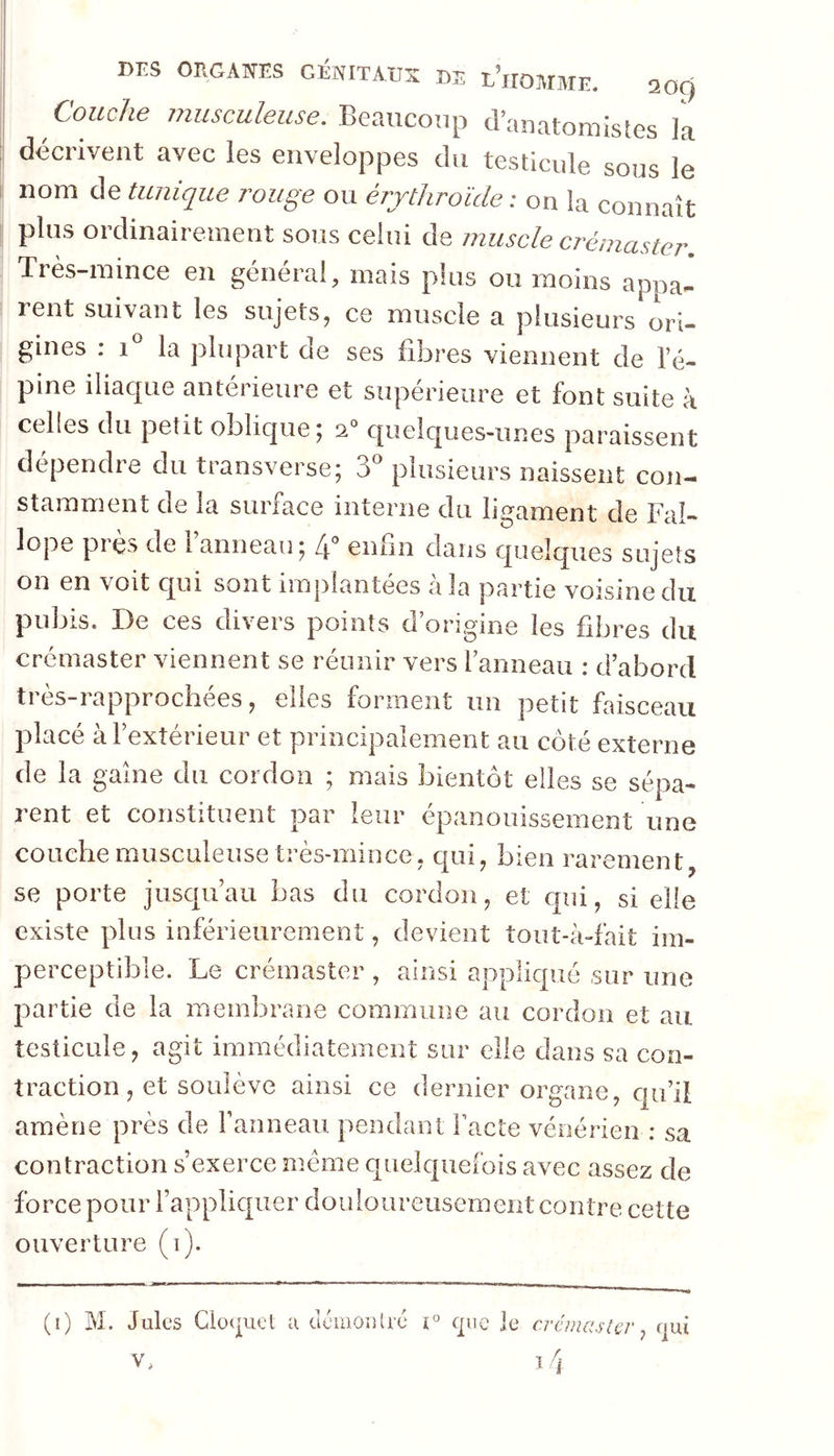 Couche musculeuse. Beaucoup d’anatomistes la décrivent avec les enveloppes du testicule sous le nom de tunique rouge ou érythroïde : on la connaît plus ordinairement sous celui de muscle crémaster. Très-mince en général, mais plus ou moins appa^ rent suivant les sujets, ce muscle a plusieurs ori- gines : i la plupart de ses fibres viennent de l’é- pine iliacjue antérieure et supérieure et font suite k celles du petit oblique 5 2° quelques-unes paraissent dépendre du transverse; 3® plusieurs naissent con- stamment de la surface interne du ligament de Fal- lope près de Fanneau; enfin dans quelques sujets on en voit qui sont implantées à la partie voisine du pubis. De ces divers points d’origine les fibres du crémaster viennent se réunir vers Fanneau : d’abord très-rapprochées, elles forment un petit faisceau placé à l’extérieur et principalement au côté externe de la gaine du cordon ; mais bientôt elles se sépa- rent et constituent par leur épanouissement une couche musculeuse très-mince, qui, bien rarement, se porte jusc|u’au bas du cordon, et cjui, si elle existe plus inférieurement, devient tout-à-fait im- perceptible. Le crémaster , ainsi appliqué sur une partie de la membrane commune au cordon et au testicule, agit immédiatement sur elle dans sa con- traction , et soulève ainsi ce dernier organe, qu’il amène près de Fanneau pendant Facte vénérien : sa contraction s’exerce meme quelquefois avec assez de force pour l’appliquer douloureusemeiit contre cette ouverture (i). (i) M. Jules Clo( piet a acraoiiU'é V. crémaslcr, fjui