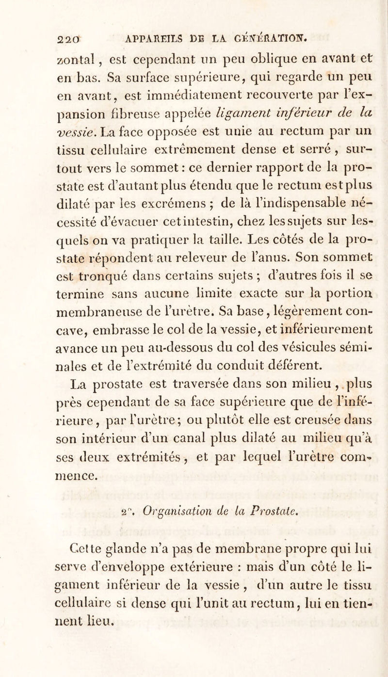 zontal, est cependant im peu oblique en avant et en bas. Sa surface supérieure, qui regarde un peu en avant, est immédiatement recouverte par l’ex- pansion fibreuse appelée ligament inférieur de la vessie. La face opposée est unie au rectum par un tissu cellulaire extrêmement dense et serré , sur- tout vers le sommet : ce dernier rapport de la pro- state est d’autant plus étendu que le rectum est plus dilaté par les excrémens ; de là l’indispensable né- cessité d’évacuer cet intestin, chez les sujets sur les- quels on va pratiquer la taille. Les côtés de la pro- state répondent au releveur de l’anus. Son sommet est tronqué dans certains sujets ; d’autres fois il se termine sans aucune limite exacte sur la portion membraneuse de l’iirètre. Sa base, légèrement con- cave, embrasse le col de la vessie, et inférieurement avance un peu au-dessous du col des vésicules sémi- nales et de l’extrémité du conduit déférent. La prostate est traversée dans son milieu , plus près cependant de sa face supérieure que de l’infé- rieure , par l’urètre; ou plutôt elle est creusée dans son intérieur d’un canal plus dilaté au milieu qu’à ses deux extrémités, et par lequel l’urètre com- mence. 2'. Organisation de la Prostate, Celte glande n’a pas de membrane propre qui lui serve d’enveloppe extérieure : mais d’un côté le li- gament inférieur de la vessie , d’un autre le tissu cellulaire si dense qui l’unit au rectum, lui en tien- nent lieu.