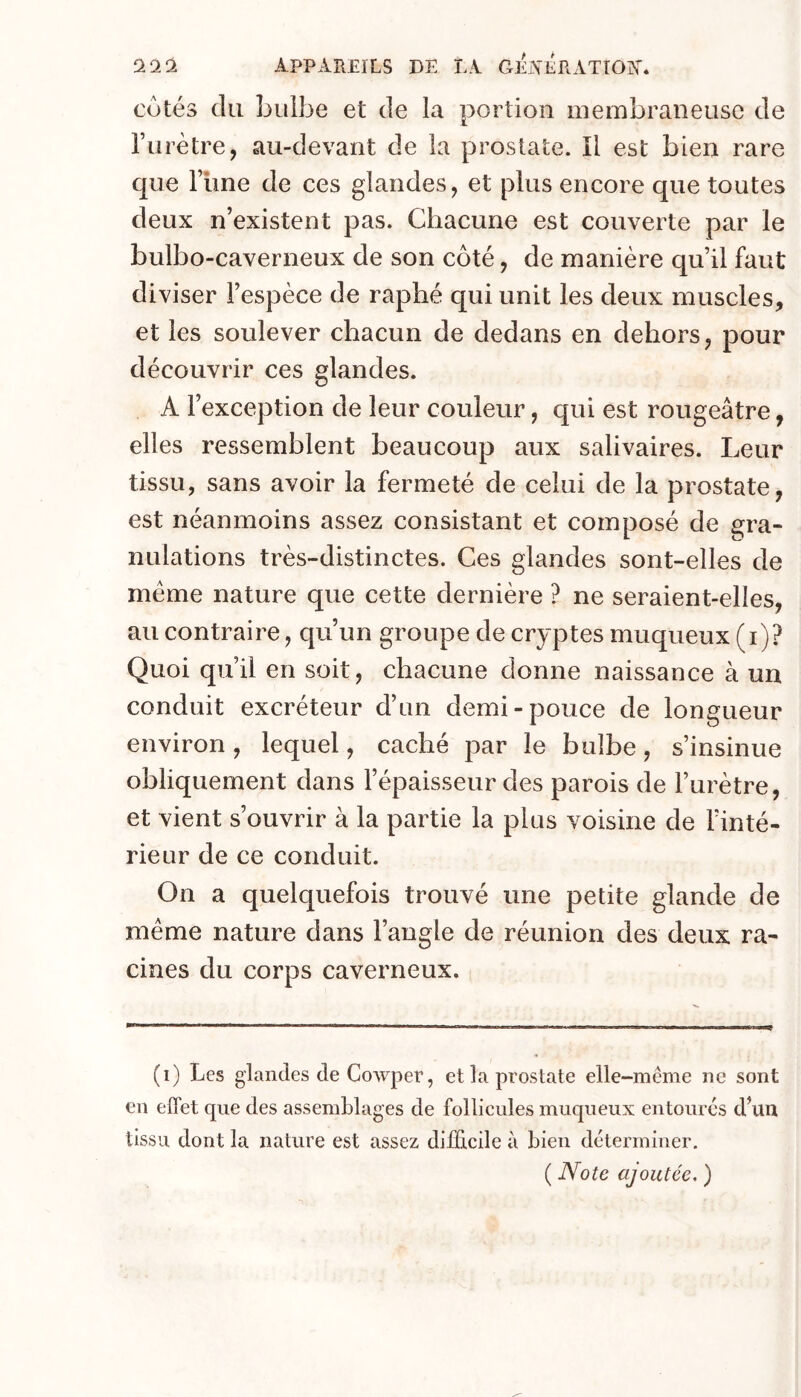 cotés du bulbe et de la portion membraneuse de Turètre, au-devant de la prostate. Il est bien rare que rime de ces glandes, et plus encore que toutes deux n’existent pas. Chacune est couverte par le bulbo-caverneux de son côté, de manière qu’il faut diviser l’espèce de raphé qui unit les deux muscles, et les soulever chacun de dedans en dehors, pour découvrir ces glandes. A l’exception de leur couleur, qui est rougeâtre, elles ressemblent beaucoup aux salivaires. Leur tissu, sans avoir la fermeté de celui de la prostate, est néanmoins assez consistant et composé de gra- nulations très-distinctes. Ces glandes sont-elles de meme nature que cette dernière ? ne seraient-elles, au contraire, qu’un groupe de cryptes muqueux (i)? Quoi qu’il en soit, chacune donne naissance à un conduit excréteur d’un demi-pouce de longueur environ, lequel, caché par le bulbe, s’insinue obliquement dans l’épaisseur des parois de l’urètre, et vient s’ouvrir à la partie la plus voisine de l’inté- rieur de ce conduit. On a quelquefois trouvé une petite glande de même nature dans l’angle de réunion des deux ra- cines du corps caverneux. (i) Les glandes de Cowper, et la prostate elle-même ne sont en effet que des assemblages de follicules muqueux entoures d’un tissu dont la nature est assez difficile à bien déterminer.