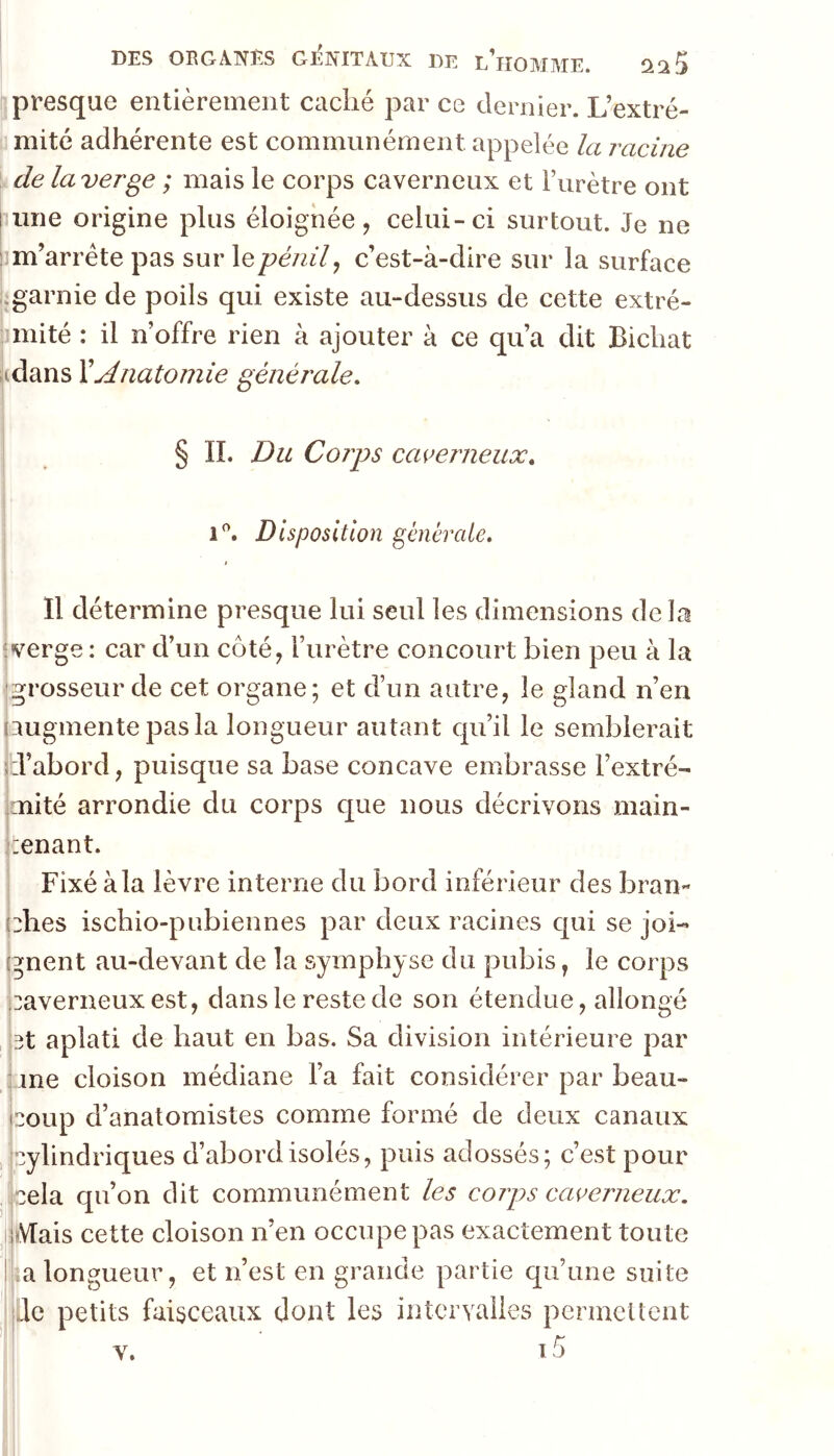 presque entièrement caché par ce dernier. L’extré- mité adhérente est communément appelée la racine de laverge ; mais le corps caverneux et l’urètre ont jiime origine plus éloignée, celui-ci surtout. Je ne ! m’arrête pas sur lepè/z//, c’est-à-dire sur la surface .garnie de poils qui existe au-dessus de cette extré- mité : il n’offre rien à ajouter à ce qu’a dit Bichat jidans XAnatomie générale, § IL Du Corps caverneux, i''. Disposition générale. 11 détermine presque lui seul les dimensions delà ‘verge : car d’un côté, l’urètre concourt bien peu à la grosseur de cet organe; et d’un autre, le gland n’en augmente pas la longueur autant cpi’il le semblerait pVabord, puisque sa base concave embrasse l’extré- mité arrondie du corps c[ue nous décrivons main- lenant. Fixé à la lèvre interne du bord inférieur des bran- phes ischio-pubiennes par deux racines c[ui se joi- gnent au-devant de la symphyse du pubis, le corps ;:averneux est, dans le reste de son étendue, allongé 3t aplati de haut en bas. Sa division intérieure par ; me cloison médiane l’a fait considérer par beau- coup d’anatomistes comme formé de deux canaux , Cylindriques d’abord isolés, puis adossés; c’est pour cela qu’on dit communément les corps caverneux. iMais cette cloison n’en occupe pas exactement toute ! a longueur, et n’est en grande partie qu’une suite Je petits faisceaux dont les intcrvaiies permettent V. i5