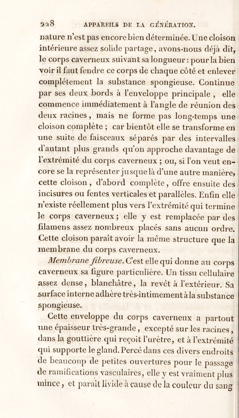 nature n^est pas encore bien déterminée. Une cloison intérieure assez solide partage, avons-nous déjà dit, le corps caverneux suivant sa longueur : pour la bien voir il faut fendre ce corps de chaque côté et enlever complètement la substance spongieuse. Continue par ses deux bords à l’enveloppe principale , elle commence immédiatement à l’angle de réunion des deux racines, mais ne forme pas long-temps une cloison complète ; car bientôt elle se transforme en une suite de faisceaux séparés par des intervalles d’autant plus grands c[u’on approche davantage de l’extrémité du corps caverneux ; ou, si l’on veut en- core se la représenter juscjuelà d’une autre manière, cette cloison, d’abord complète, offre ensuite des incisures ou fentes verticales et parallèles. Enfin elle n’existe réellement plus vers l’extrémité qui termine le corps caverneux ; elle y est remplacée par des filamens assez nombreux placés sans aucun ordre. Cette cloison paraît avoir la meme structure que la membrane du corps caverneux. Membrane fibreuse. C’est elle qui donne au corps caverneux sa figure particulière. Un tissu cellulaire assez dense, blanchâtre, la revêt à l’extérieur. Sa surface interne adhère très-intimement àla substance spongieuse. Cette enveloppe du corps caverneux a partout une épaisseur très-grande, excepté sur les racines, dans la gouttière qui reçoit l’urètre, et à l’extrémité qui supporte le gland. Percé dans ces divers endroits de beaucoup de petites ouvertures pour le passage de ramifications vasculaires, elle y est vraiment plus mince, et paraît livide à cause de la couleur du sang