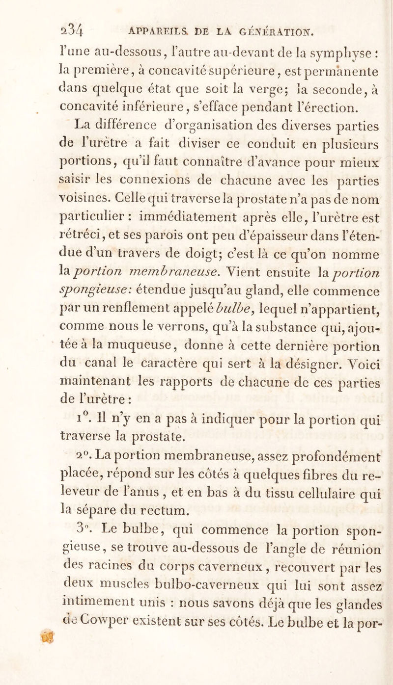 a3/l APPA.REILS. DE LA GÉIVÉRATîOjN'. Fane au-dessous, l’autre aii-devaut de la symphyse i la première, à concavité supérieure, est permanente dans quelque état que soit la verge; la seconde, à concavité inférieure, s’efface pendant l’érection. La différence d’organisation des diverses parties de l’urètre a fait diviser ce conduit en plusieurs portions, qu’il faut connaître d’avance pour mieux saisir les connexions de chacune avec les parties voisines. Celle qui traverse la prostate n’a pas de nom particulier: immédiatement après elle, l’urètre est rétréci, et ses parois ont peu d’épaisseur dans l’éten- due d’un travers de doigt; c’est là ce qu’on nomme l'â.portion membraneuse. Vient ensuite \3. portion spongieuse: étendue jusqu’au gland, elle commence par un renflement appelé bulbe, lequel n’appartient, comme nous le verrons, qu’à la substance qui, ajou- tée a la muqueuse, donne à cette dernière portion du canal le caractère qui sert à la désigner. Voici maintenant les rapports de chacune de ces parties de l’urètre : I®. Il n’y en a pas à indiquer pour la portion qui traverse la prostate. 2». La portion membraneuse, assez profondément placée, répond sur les côtés à quelques fibres du re- leveur de l’anus , et en bas à du tissu cellulaire qui la sépare du rectum. 3^ Le bulbe, qui commence la portion spon- gieuse, se trouve au-dessous de l’angle de réunion des racines du corps caverneux, recouvert par les deux muscles bulbo-caverneux qui lui sont assez intimement unis : nous savons déjà que les glandes de Cowper existent sur ses côtés. Le bulbe et la por-