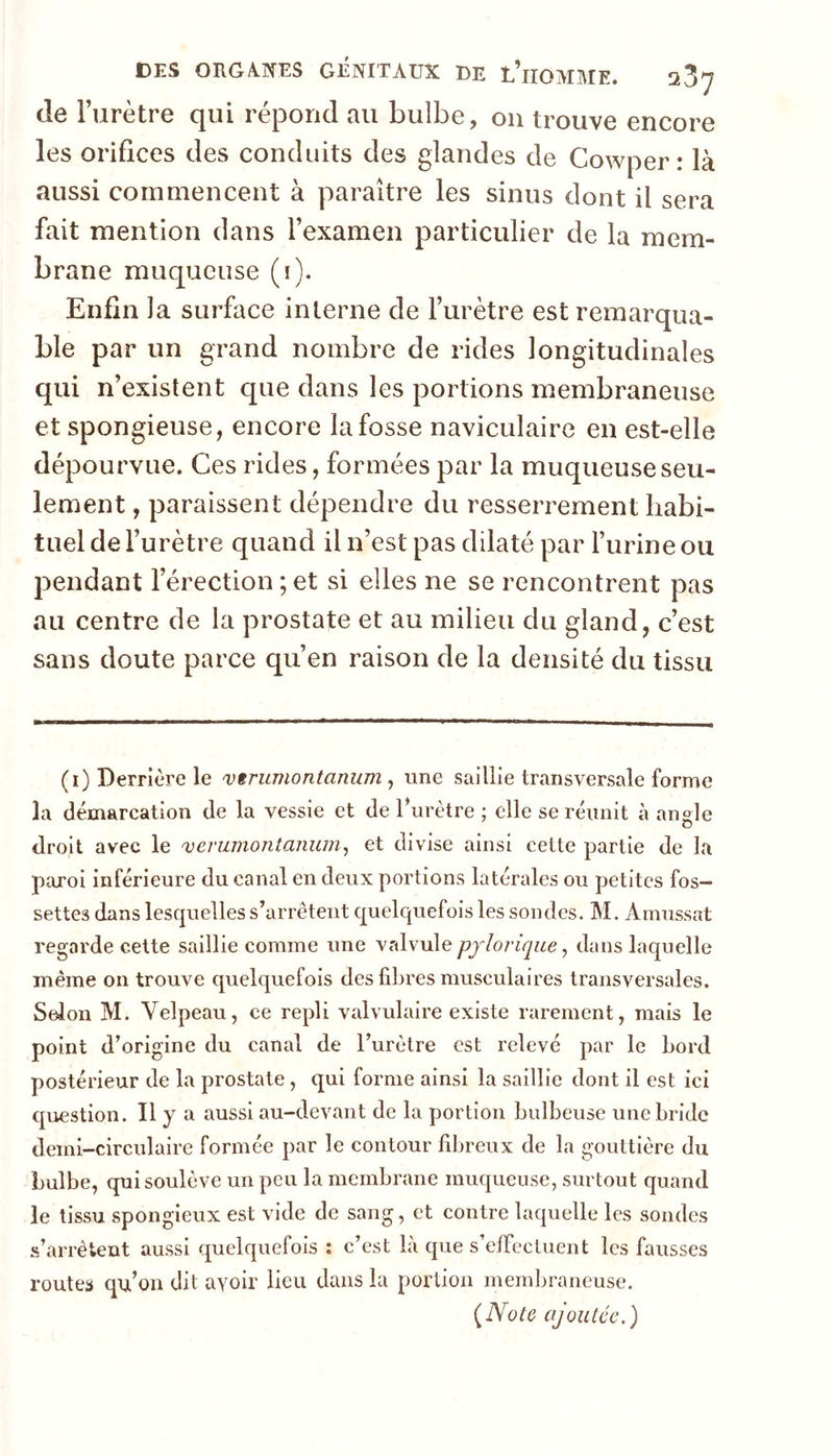 de Furètre qui répond au bulbe, ou trouve encore les orifices des conduits des glandes de Cowper : là aussi commencent à paraître les sinus dont il sera fait mention dans l’examen particulier de la mem- brane muqueuse (i). Enfin la surface interne de Furètre est remarqua- ble par un grand nombre de rides longitudinales qui n’existent que dans les portions membraneuse et spongieuse, encore la fosse naviculaire en est-elle dépourvue. Ces rides, formées par la muqueuse seu- lement , paraissent dépendre du resserrement habi- tuel de Furètre quand il n’est pas dilaté par l’urine ou pendant l’érection ; et si elles ne se rencontrent pas au centre de la prostate et au milieu du gland, c’est sans doute parce qu’en raison de la densité du tissu (i) Derrière le vtrumontanum ^ une saillie transversale forme la démarcation de la vessie et de Furètre ; elle se réunit à ansle O droit avec le ^erumontanuin^ et divise ainsi cette partie de la paroi inférieure du canal en deux portions latérales ou petites fos- settes dans lesquelles s’arrêtent quelquefois les sondes. M. Amussat regarde cette saillie comme une valvule pylorique ^ dans laquelle même on trouve quelquefois des fibres musculaires transversales. Selon M. Velpeau, ce repli valvulaire existe rarement, mais le point d’origine du canal de l’urètre est relevé par le bord postérieur de la prostate , qui forme ainsi la saillie dont il est ici question. H y a aussi au-devant de la portion bulbeuse une bride demi-circulaire formée par le contour fibreux de la gouttière du bulbe, qui soulève un peu la membrane muqueuse, surtout quand le tissu spongieux est vide de sang, et contre laquelle les sondes s’arrêtent aussi quelquefois ; c’est la que s efFectuent les fausses routes qu’on dit avoir beu dans la portion membraneuse. {Note ajoutée.)