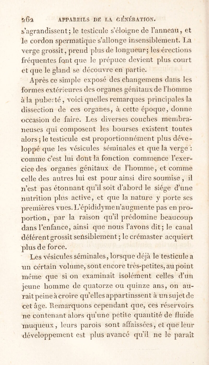 s’agrandissent; le testicule s’éloigne de l’anneau, et le cordon spermatique s’allonge insensiblement. La verge grossit, prend plus de longueur; les érections fréquentes font que le prépuce devient plus court et que le gland se découvre en partie. Après ce simple exposé des changemens dans les formes extérieures des organes génitaux de l’homme à la puberté, voici quelles remarques principales la dissection de ces organes, à cette époque, donne occasion de faire. Les diverses couches membra- neuses qui composent les bourses existent toutes alors ; le testicule est proportionnément plus déve- loppé que les vésicules séminales et que la verge : comme c’est lui dont la fonction commence l’exer- cice des organes génitaux de l’homme, et comme celle des autres lui est pour ainsi dire soumise , il n’est pas étonnant qu’il soit d’abord le siège d’une nutrition plus active, et que la nature y porte scs premières vues.L’épididyraen’augmente pas en pro- portion, par la raison qu’il prédomine beaucoup dans l’enfance, ainsi que nous l’avons dit; le canal déférent grossit sensiblement ; le crémaster acquiert plus de force. Les vésicules séminales, lorsque déjà le testicule a un certain volume, sont encore très-petites, au point même que si on examinait isolément celles d’un jeune homme de quatorze ou quinze ans, on au- rait peine à croire quelles appartinssent à un sujet de cet âge. Pminarquons cependant que, ces réservoirs ne contenant alors qu'une petite quantité de fluide muqueux, leurs parois sont affaissées, et que leur développement est plus avancé qu’il ne le paraît