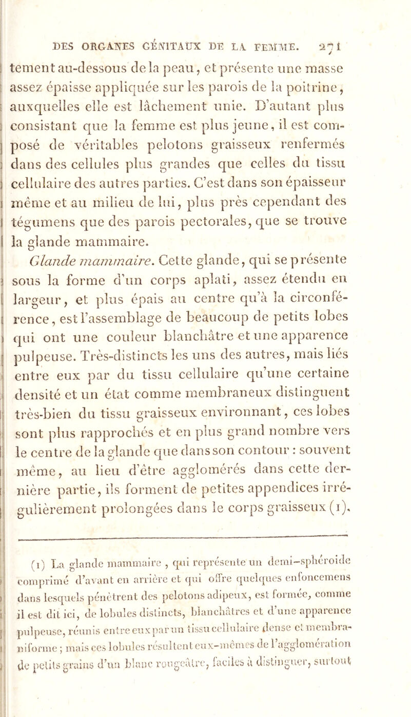 / I tement aii-dessoDS de la peau, et présente une masse i assez épaisse appliquée sur les parois de la poitrine, ! auxcpielles elle est lâchement unie. D’autant plus i consistant que la femme est plus jeune, il est com- j posé de véritables pelotons graisseux renfermés î clans des cellules plus grandes que celles du tissu j cellulaire des autres parties. C’est dans son épaisseur j înéme et au milieu de lui, plus près cependant des j tégumens que des parois pectorales, c[ue se trouve ( la glande mammaire. Glande inannnaire. Cette glande, qui se présente i sous la forme d’un corps aplati, assez étendu en largeur, et plus épais au centre qu’à la circonfé- rence, est l’assemblage de beaucoup de petits lobes I c]ui ont une couleur blanchâtre et une apparence pulpeuse. Très-distincts les uns des autres, mais liés entre eux par du tissu cellulaire qu’une certaine i densité et un état comme membraneux distinguent j! très-bien du tissu graisseux environnant, ces lobes j: sont plus rapprochés et en plus grand nombre vers i le centre de la glande que dans son contour : souvent 1 meme, au lieu d’être agglomérés dans cette der- I nière partie, ils forment de petites appendices irré- I gulièrement prolongées dans le corps graisseux (i). \ (i) La glande mammaire , qui représente un dcmi-spliéroide comprimé (Lavant en arrière et qui offre quelques enroncemens dans lesquels pénètrent des pelotons adipeux, est formée, comme il est dit ici, de lobules distincts, bianebâtres et d’une apparence pulpeuse, réunis entre euxpar un tissu cellulaire dense etmembra- niforme ; mais ces lobules rcsLiltciiteux-mcrnes de i agglomeiafion de petits grains d’un blanc rougeâtre, iaeiksà distinguer, surtout