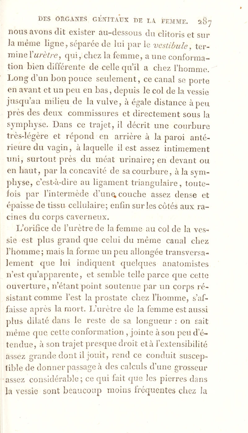 DES ORGxVNES G^ÎTAUX DE LA FEÎ\IArE. îàgy nous avons dit exister au-dessous du clitoris et sur la même ligne^ séparée de lui par le vestibule, ter- mmeVurètre^ qui^ chez la feixime, a une conforma- tion bien différente de celle cpi’il a chez l’homme. Long d’un bon ponce seulement, ce canal se porte en avant et un peu en bas, depuis le col de la vessie jusqu’au milieu de la vulve, à égale distance à peu près des deux commissures et directement sous la symphyse. Dans ce trajet, il décrit une courbure très-légère et répond en arrière à la paroi anté- rieur’e du vagin, à laquelle il est assez intimement uni, surtout près du méat urinaire; en devant ou en haut, par la concavité de sa courbure, à la sym- physe, c’est-à-dire au ligament triangulaire, toute- fois par l’intermède d’iin^ couche assez dense et épaisse de tissu cellulaire; enfin sur les côtés aux ra- cines du corps caverneux. L’orifice de l’urètre de la femme au col de la ves- sie est plus grand que celui du meme canal chez l’homme; mais la forme un peu allongée transversa- lement que lui indic[uent quelques anatoniistes n’est qu’apparente, et semble telle parce c[ue cette ouverture, n’étant point soutenue par un corps ré- sistant comme l’est la prostate chez l’homme, s’af- faisse après la mort. L’urètre de la femme est aussi plus dilaté dans le reste de sa longueur : on sait meme que cette conformation , jointe à son peu d’é- tendue, à son trajet presque droit et à l’extensibilité assez grande dont il jouit, rend ce conduit suscep- tible de donner passage à des calculs d’une grosseur assez considérable; ce qui fait que les pierres dans la vessie sont beaucoup moins fréquentes chez la