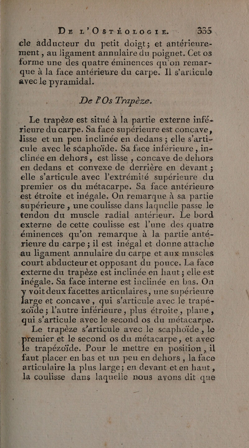 De L’OsTéoroc1te. . 333 . cle adducteur du petit doigt; et antérienre- ment , au ligament annulaire du poignet. Cet os forme une des quatre éminences qu'on remar- que à la face antérieure du carpe. Il s’ariicule avec le pyramidal. … De POs Trapèze. Le trapèze est situé à la partie externe infé- rieure du carpe. Sa face supérieure est concave, lisse et un peu inclinée en dedans ; elle s’arti- cule avec le séaphoïde. Sa face inférieure , in- clinée en dehors, est lisse , concave de dehors en dedans et convexe de derrière en devant ; elle s'articule avec l'extrémité supérieure du premier os du métacarpe. Sa face antérieure est étroite et inégale. On remarque à sa partie supérieure , une coulisse dans laquelle passe le tendon du muscle radial antérieur. Le bord externe de cette coulisse est l’une des quatre éminences qu'on remarque à la partie anté- rieure du carpe ; il est inégal et donne attache au lisament annulaire du carpe et aux muscles court abducteur et opposant du pouce. La face externe du trapèze est inclinée en haut ; elle est inégale. Sa face interne est inclinée en bas. On voit deux facettes articulaires, une supérieure EE et concave, qui s'articule avec le trapé- zoïde ; l’autre inférieure , plus étroite, plane, qui s'articule avec le second os du métacarpe, Le trapèze s'articule avec le scaphoïde, le premier et le second os du métacarpe, et avec le trapézoïde. Pour le mettre en position , il faut placer en bas et un peu en dehors , la face articulaire la plus large; en devant eten haut, la coulisse dans laquelle nous avons dit que a