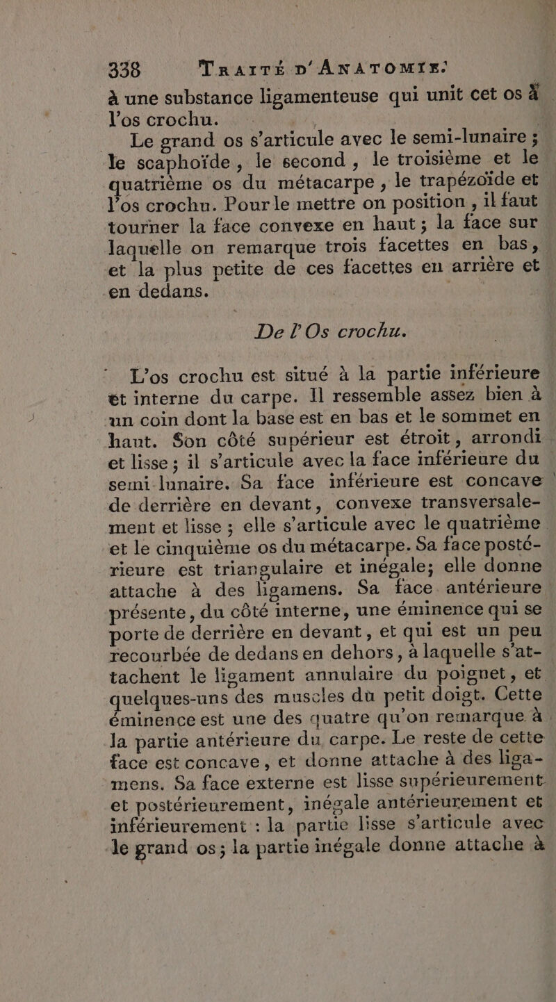 à une substance ligamenteuse qui unit cet os à l'os crochu:. tri | = Le grand os s’articule avec le semi-lunaire ; le scaphoïde, le second, le troisième et le quatrième os du métacarpe , le trapézoïde et l'os crochu. Pourle mettre on position , il faut tourner la face convexe en haut; la face sur laquelle on remarque trois facettes en bas, et la plus petite de ces facettes en arrière et en dedans. De l'Os crochu. L’os crochu est situé à la partie inférieure ét interne du carpe. Il ressemble assez bien à un coin dont la base est en bas et le sommet en. hant. Son côté supérieur est étroit, arrondi et lisse ; il s'articule avec la face inférieure du semi lunaire. Sa face inférieure est concave de derrière en devant, convexe transyersale- ment et lisse ; elle s'articule avec le quatrième et le cinquième os du métacarpe. Sa face posté- rieure est triangulaire et inégale; elle donne attache à des ligamens. Sa face antérieure. présente, du côté interne, une éminence qui se porte de derrière en devant, et qui est un peu recourbée de dedans en dehors, à laquelle s’at- tachent le lisament annulaire du poignet, et quelques-uns des muscles du petit doigt. Cette éminence est une des quatre qu’on remarque à. la partie antérieure du carpe. Le reste de cette face est concave, et donne attache à des liga- mens. Sa face externe est lisse supérienrement- et postérieurement, inégale antérieurement et inférieurement : la partie lisse s'articule avec le grand os ; la partie inégale donne attache à