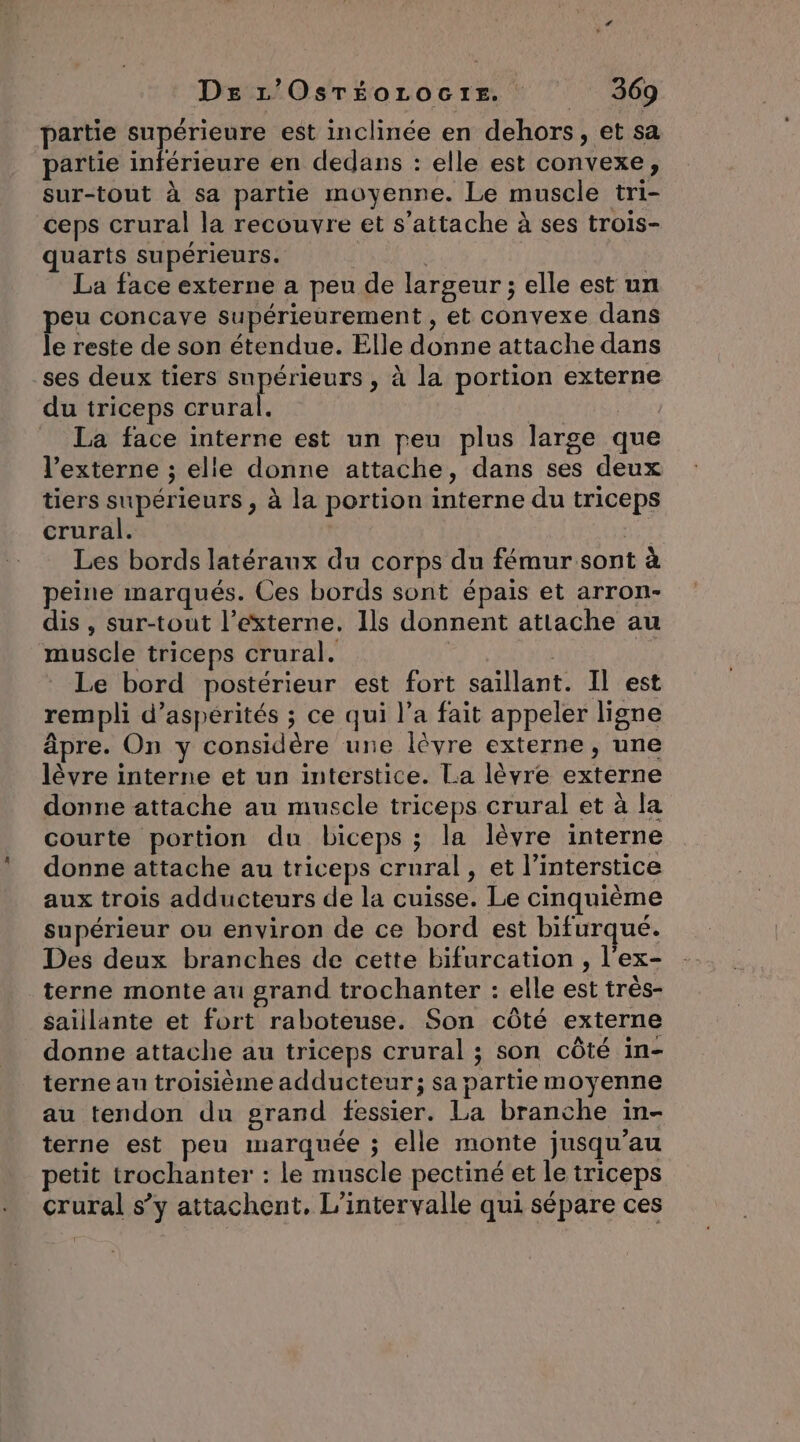 partie supérieure est inclinée en dehors, et sa partie inférieure en dedans : elle est convexe, sur-tout à sa partie moyenne. Le muscle tri- ceps crural la recouvre et s'attache à ses trois- quarts supérieurs. | La face externe a peu de largeur ; elle est un peu concave supérieurement , et convexe dans le reste de son étendue. Elle donne attache dans ses deux tiers supérieurs , à la portion externe du triceps crural. | _ La face interne est un peu plus large que l’externe ; elle donne attache, dans ses deux tiers supérieurs , à la portion interne du triceps crural. Les bords latéraux du corps du fémur sont à peine marqués. Ces bords sont épais et arron- dis , sur-tout l’externe. Ils donnent attache au muscle triceps crural. | Le bord postérieur est fort saïllant. Il est rempli d’aspérités ; ce qui l’a fait appeler ligne âpre. On y considère une lèvre externe, une lèvre interne et un interstice. La lèvre externe donne attache au muscle triceps crural et à la courte portion du biceps ; la lèvre interne donne attache au triceps crural, et l’interstice aux trois adducteurs de la cuisse. Le cinquième supérieur ou environ de ce bord est bifurqué. Des deux branches de cette bifurcation , l'ex- terne monte au grand trochanter : elle est très- saillante et fort raboteuse. Son côté externe donne attache au triceps crural ; son côté in- terne au troisième adducteur; sa partie moyenne au tendon du grand fessier. La branche in- terne est peu marquée ; elle monte jusqu’au petit trochanter : le muscle pectiné et le triceps crural s’y attachent, L’intervalle qui sépare ces