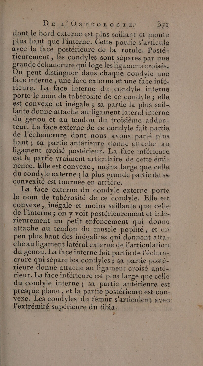 dont le bord'externe est plus saillant ét monte plus haut que l'interne. Cette poulie s’articule ayec la face postérieure de la rotule, Posté- rieurement , les condyles sont séparés par une grande échancrure qui loge les ligamens croisés. On peut distinguer dans chaque condyle une face interne , une face externe et une face infé- rieure. La face interne du condyle interne porte le nom de tubérosité de ce condyle ; elle est convexe et inégale ; sa partie la plus sail- Jante donne attache au ligament latéral interne du genou et au tendon du troisième adduc- teur. La face externe de ce condyle fait partie de l’échancrure dont nous avons parlé plus haut ; sa partie antérieure donne attache au ligament croisé postérieur. La face inférieure est la partie vraiment articulaire de cette émi- nence. Elle est convexe, moins large que celle du condyle externe ; la plus grande partie de sa convexité est tournée en Arrière. La face externe du condyle externe porte le nom de tubérosité de ce condyle. Elle est convexe ,, inégale et moins saillante que celle de l’interne ; on y voit postérieurement et infi- rieurement un petit enfoncement qui donne attache au tendon du muscle poplité, et un peu plus haut des inégalités qui donnent atta- che au ligament latéral externe de l’articulation. du genou. La face interne fait partie de l’échan- crure qui sépare les condyles ; sa partie posté- rieure donne attache an ligament croisé anté- rieur. La face inférieure est plus large que celle du condyle interne ; sa partie antérieure est presque plane , et la partie postérieure est con- vexe. Les condyles du fémur s’articulent avec l'extrémité supérieure du tibia. ’